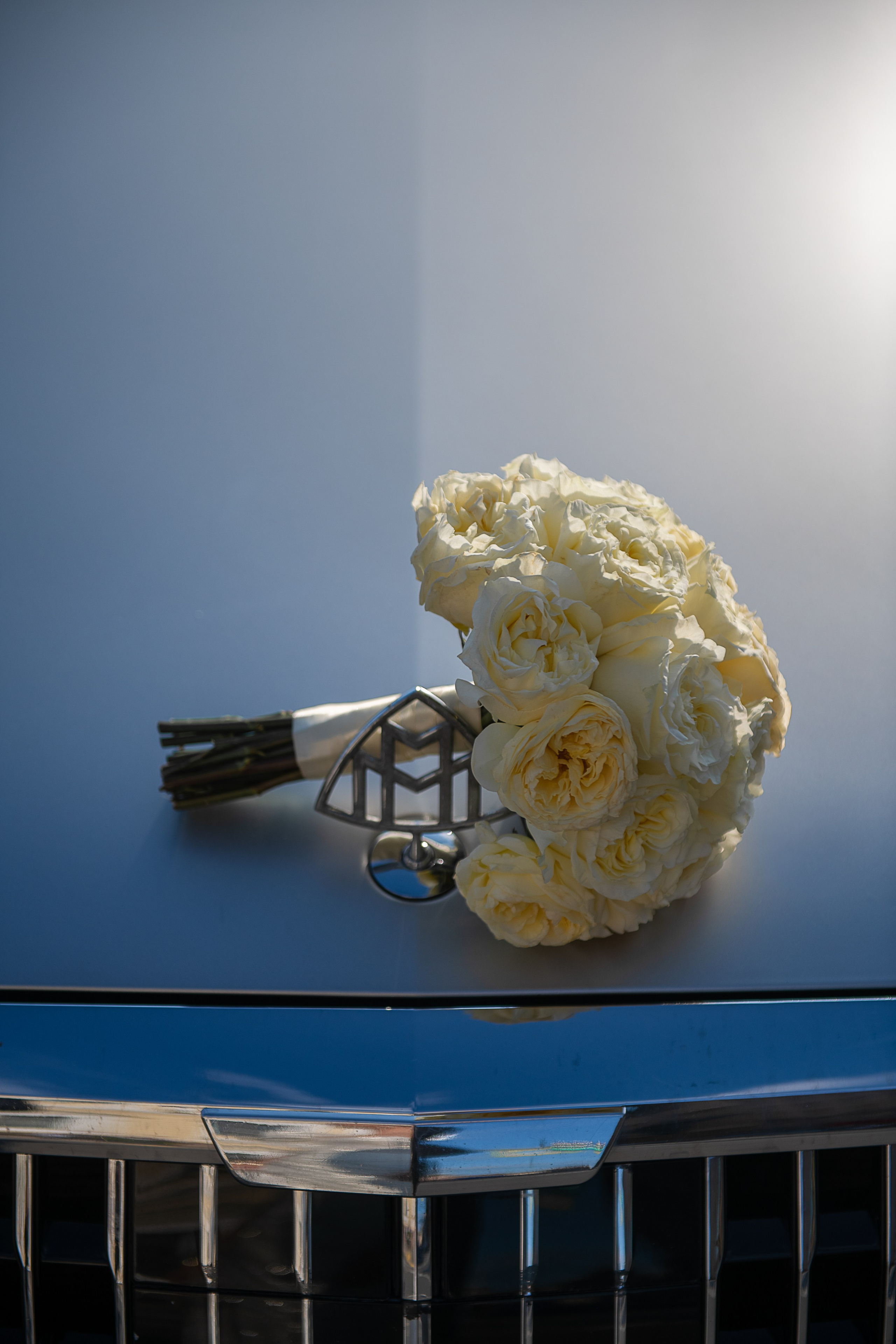 Ретроградный Меркурий в Петербурге. Свадебный фотограф в России и заграницей — Ольга Каретникова