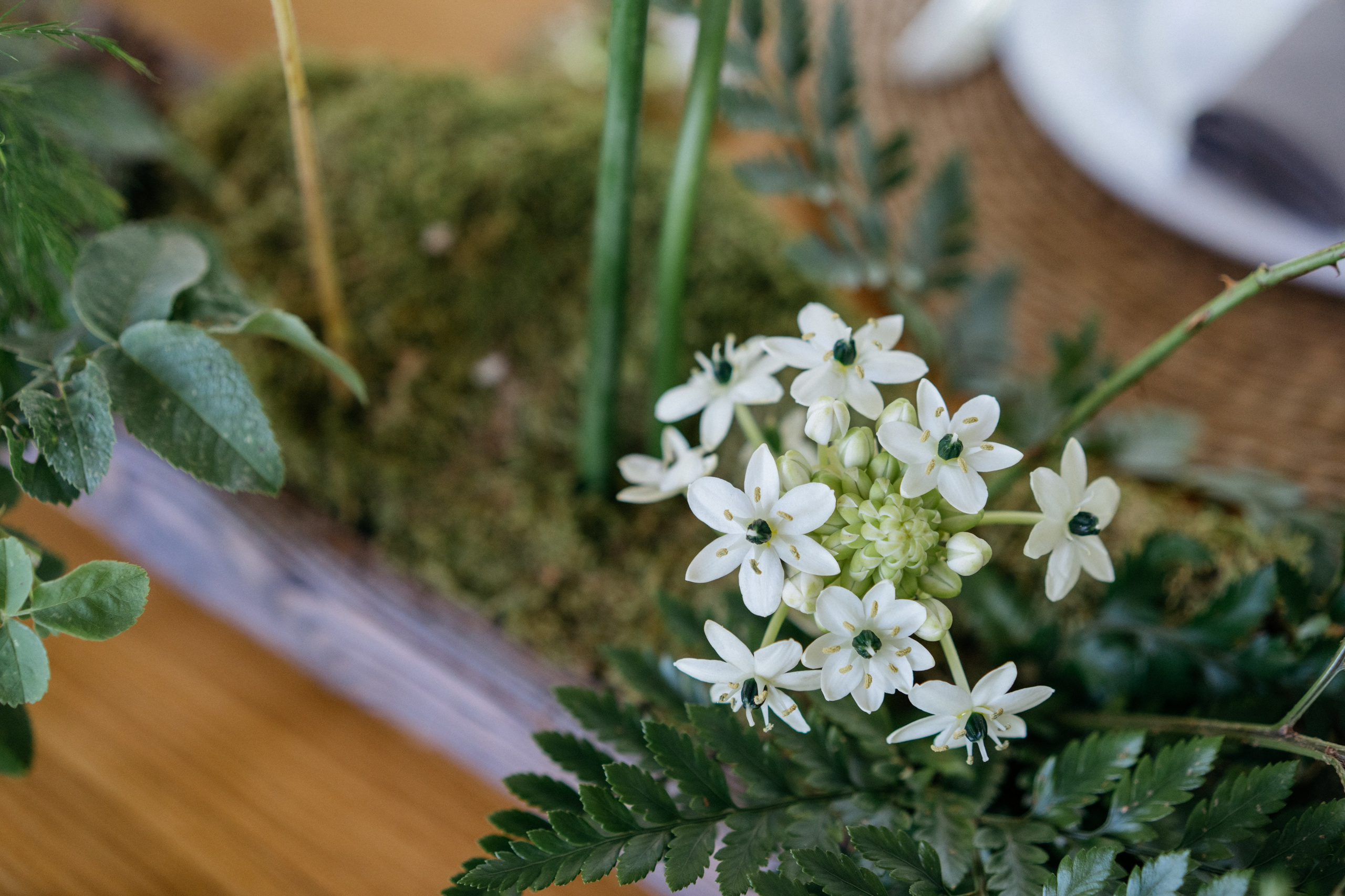 Илья и Алина. Свадебный и семейный фотограф в Калининграде Анастасия Гриценко