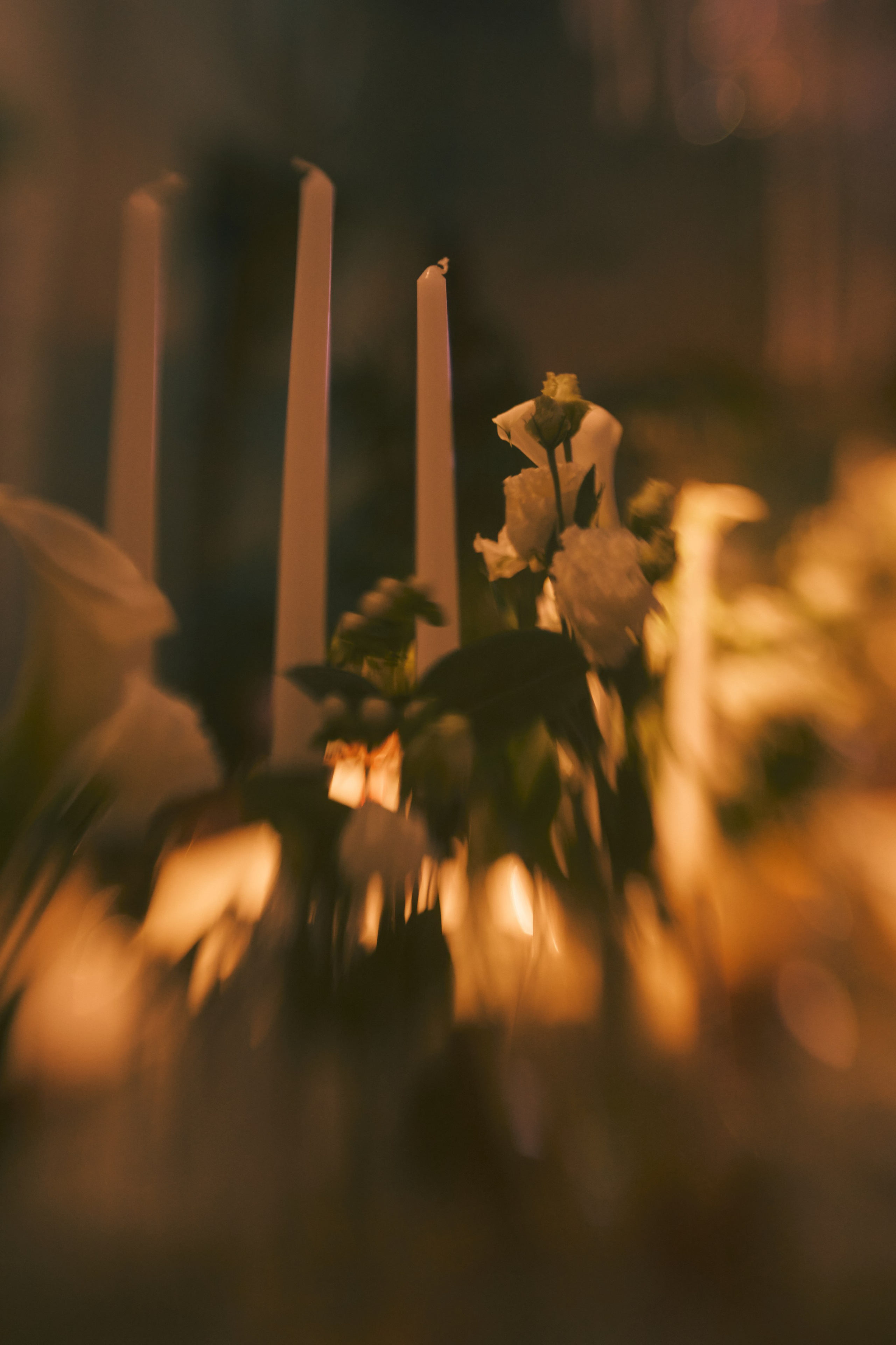 Алексей и Татьяна. Photographer on Rostov on Don