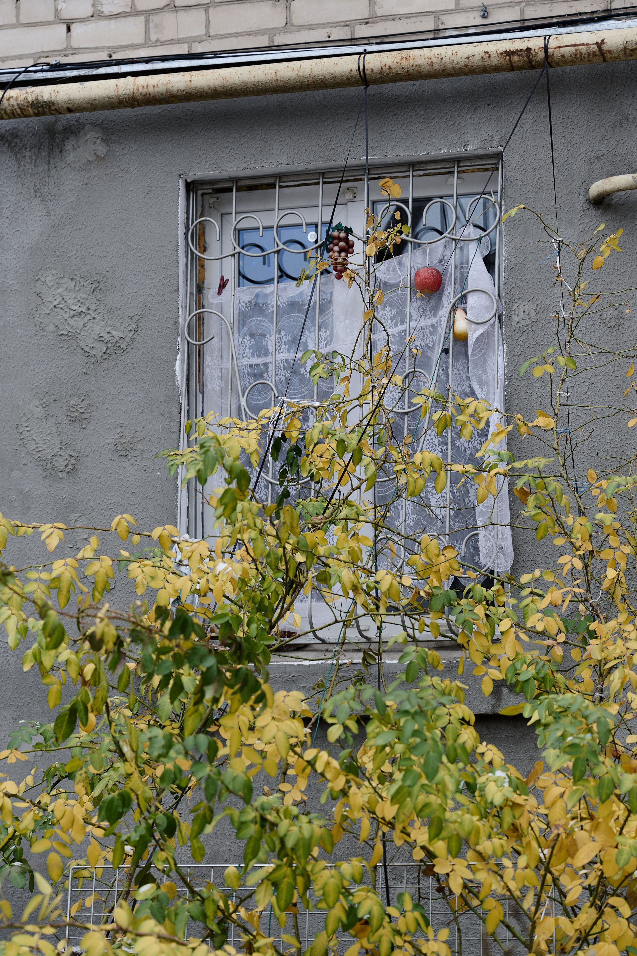 Рубежное. Луганская область. Фотопроект «Территории»