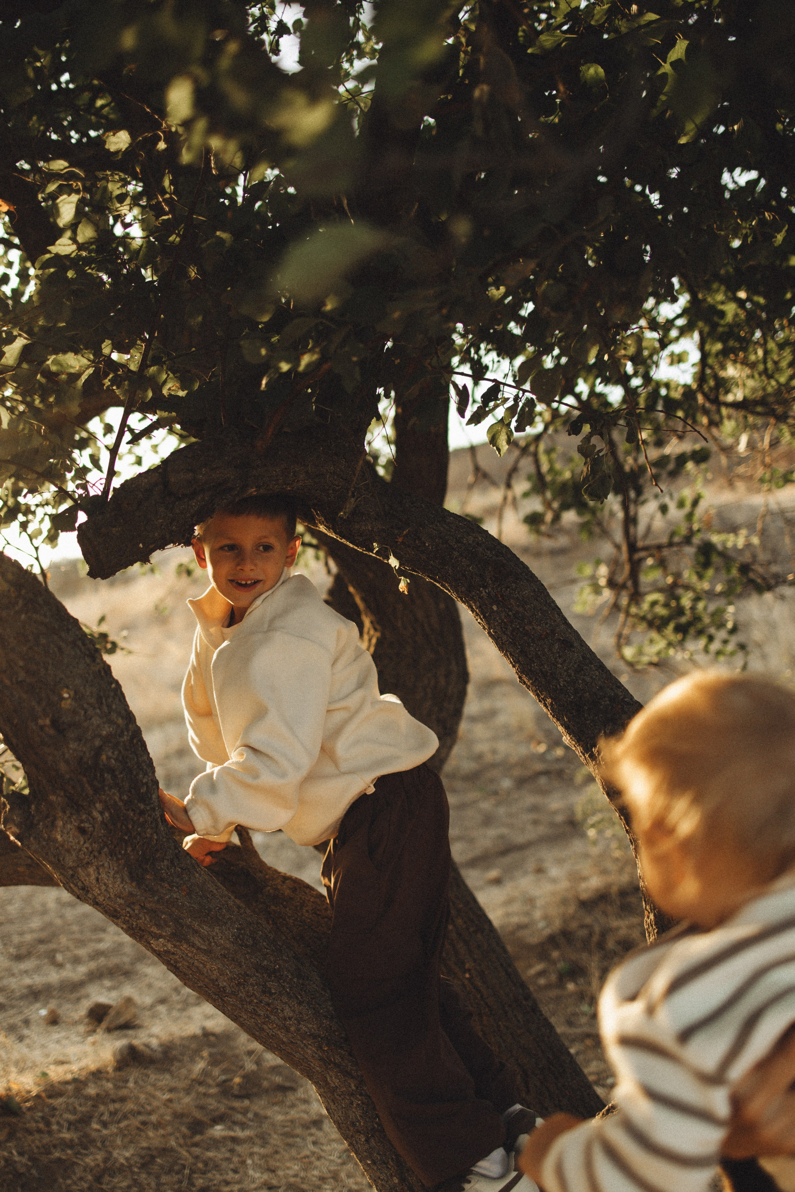 Семейная история, закат в Мержаново. Семейный и детский фотограф, таганрог, ростов-на-дону