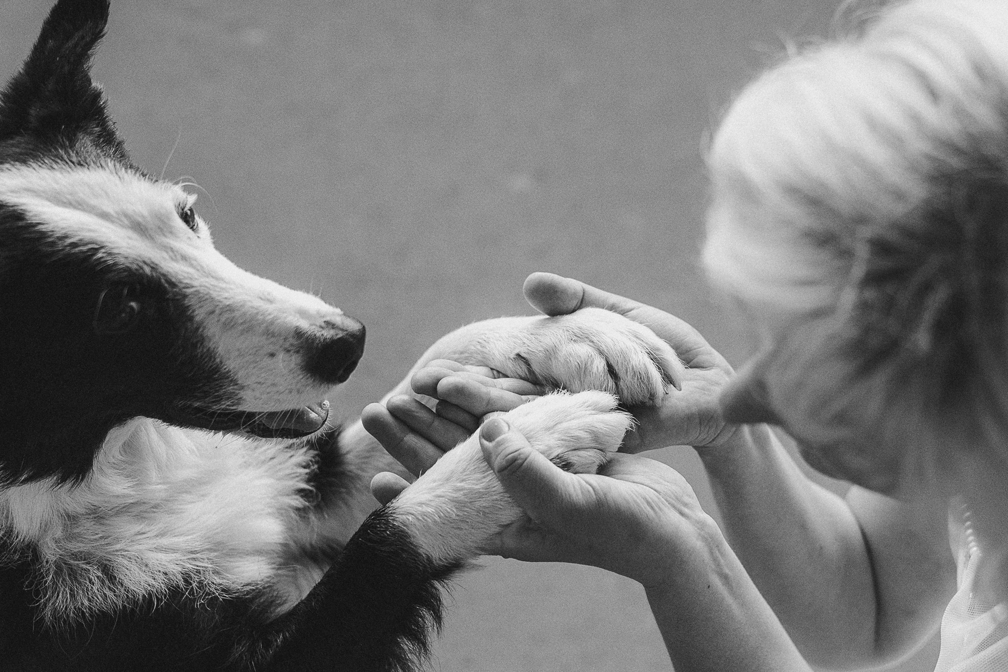 Таня, Марта и Клипса. Фотограф анималист в Москве и Санкт-Петербурге Свиридова Анна