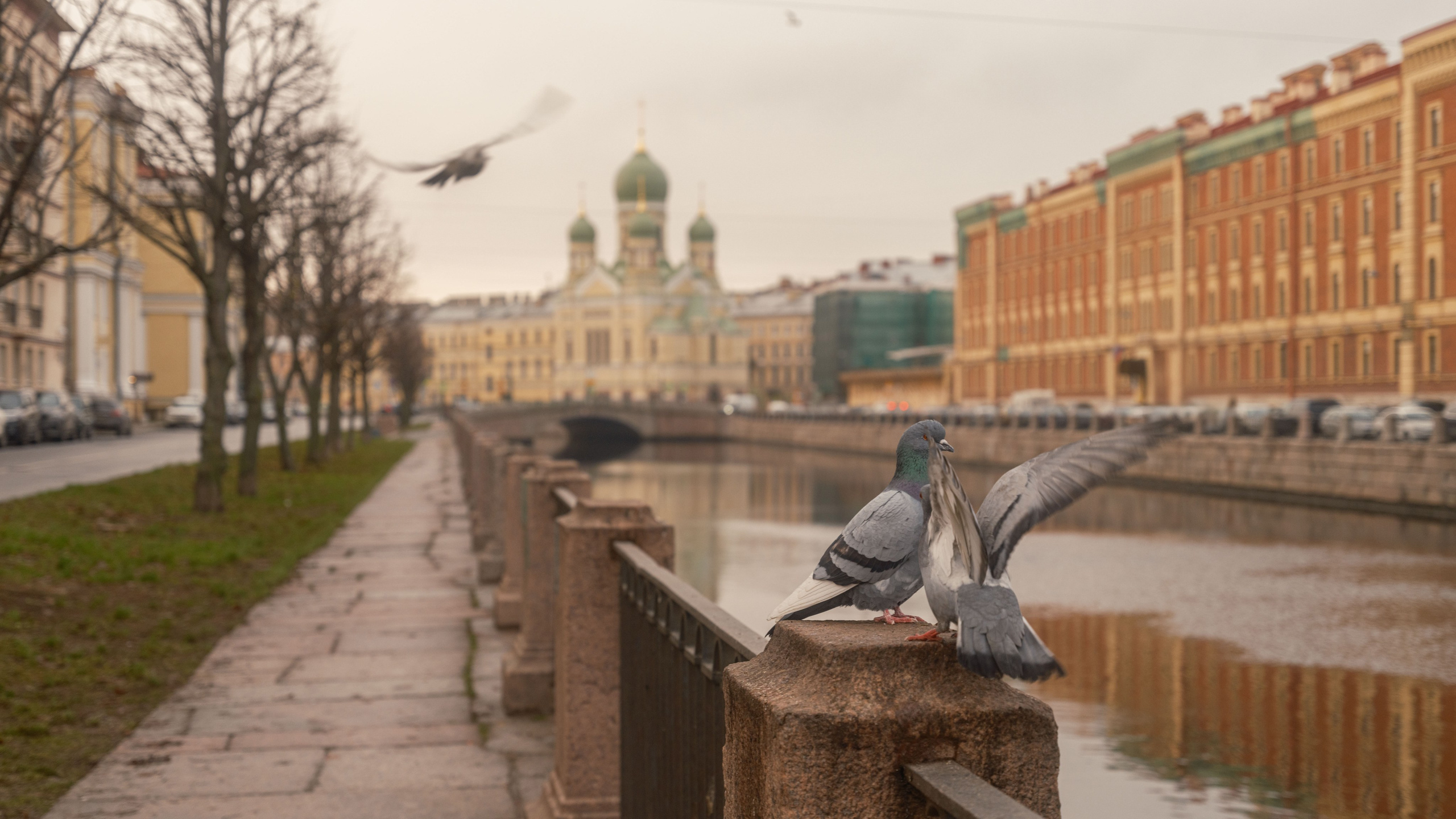Санкт-Петербург. Фотограф Балаев Михаил