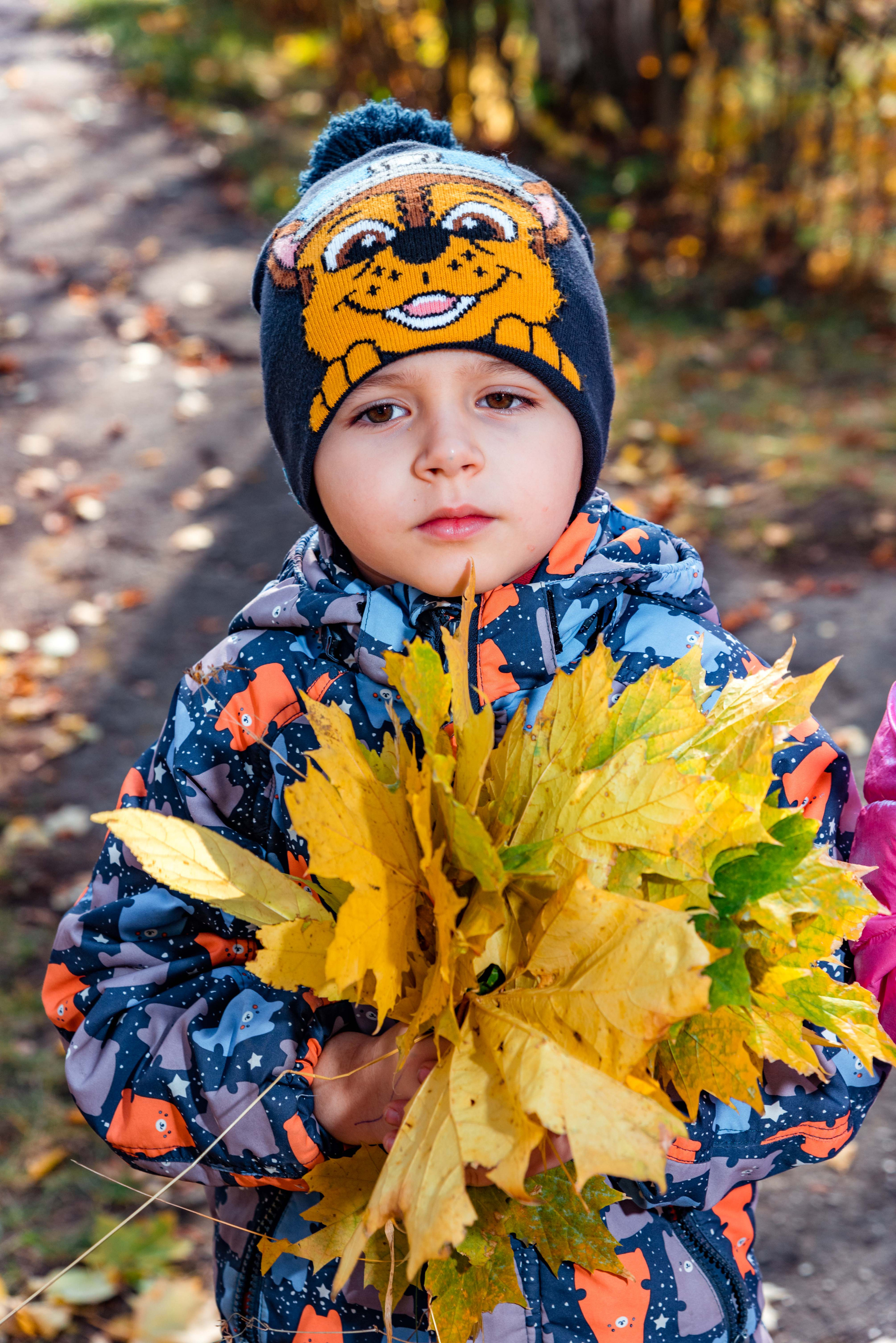 Золотая осень в детском саду. Выпускной альбом