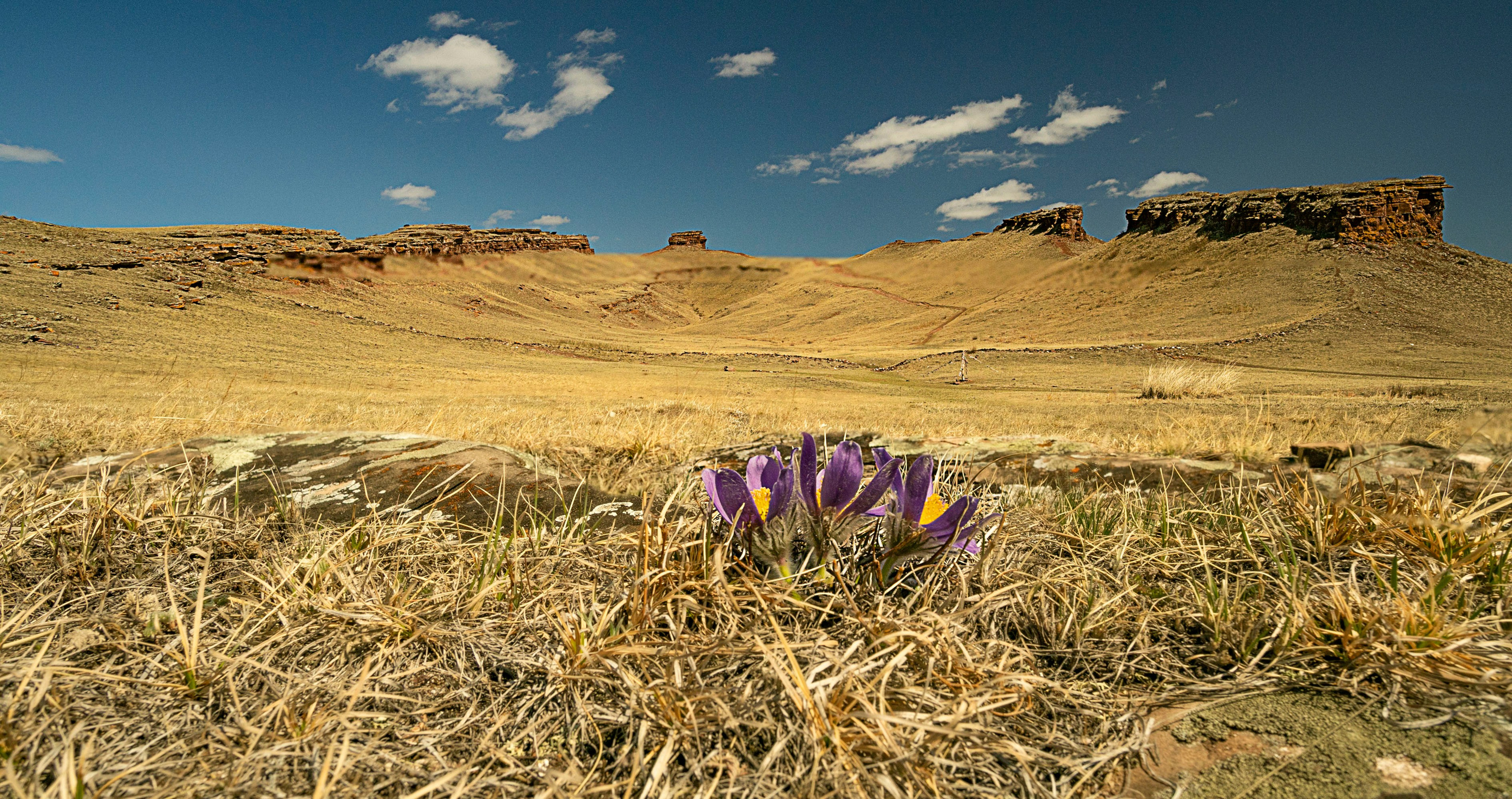 Пейзажная съемка. Фотограф в Саяногорске, Абакане Владимир Воробьев