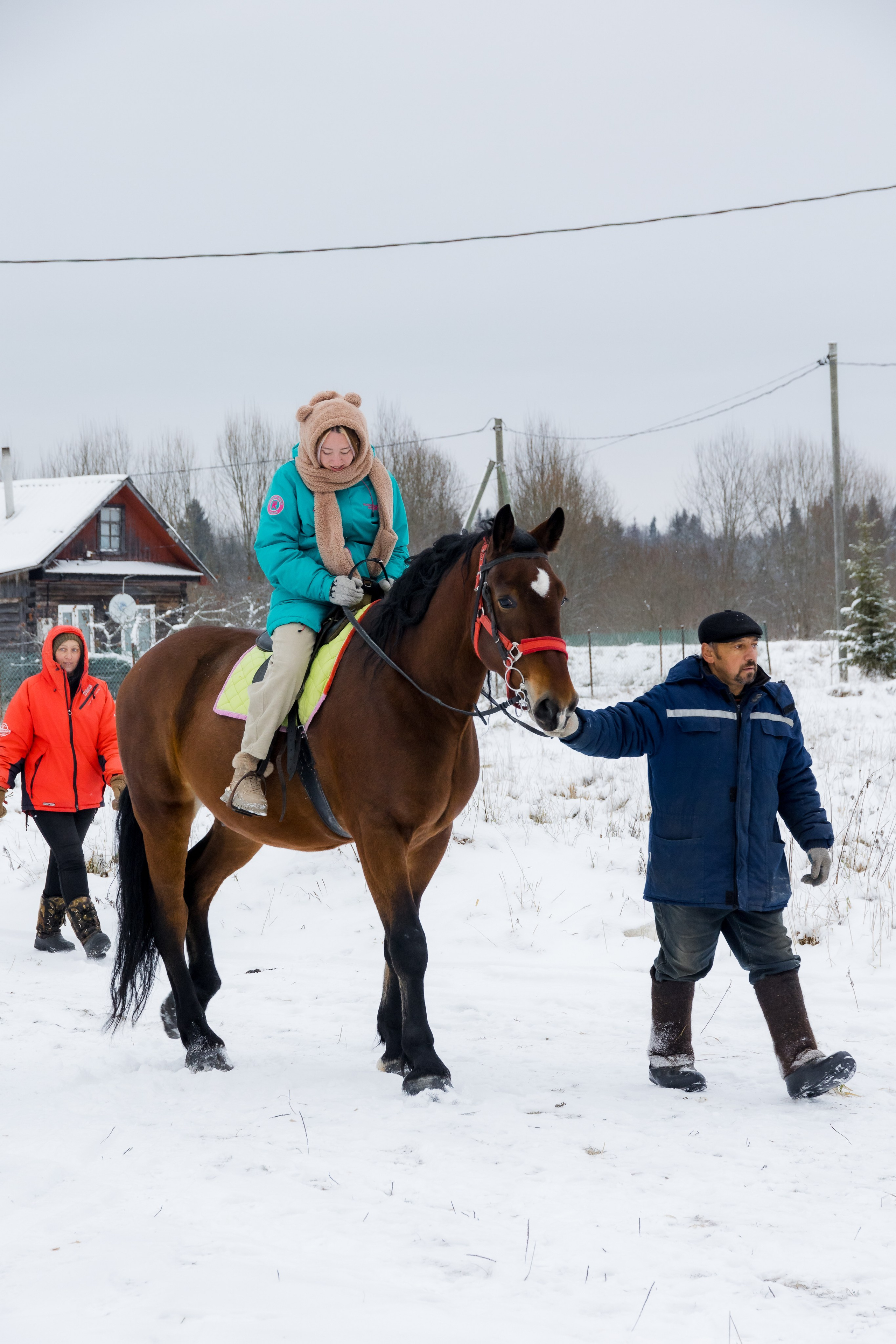 Миниферма в Теребочево. Свадебный и семейный фотограф в г. Волхов Алексей Кочерыжкин