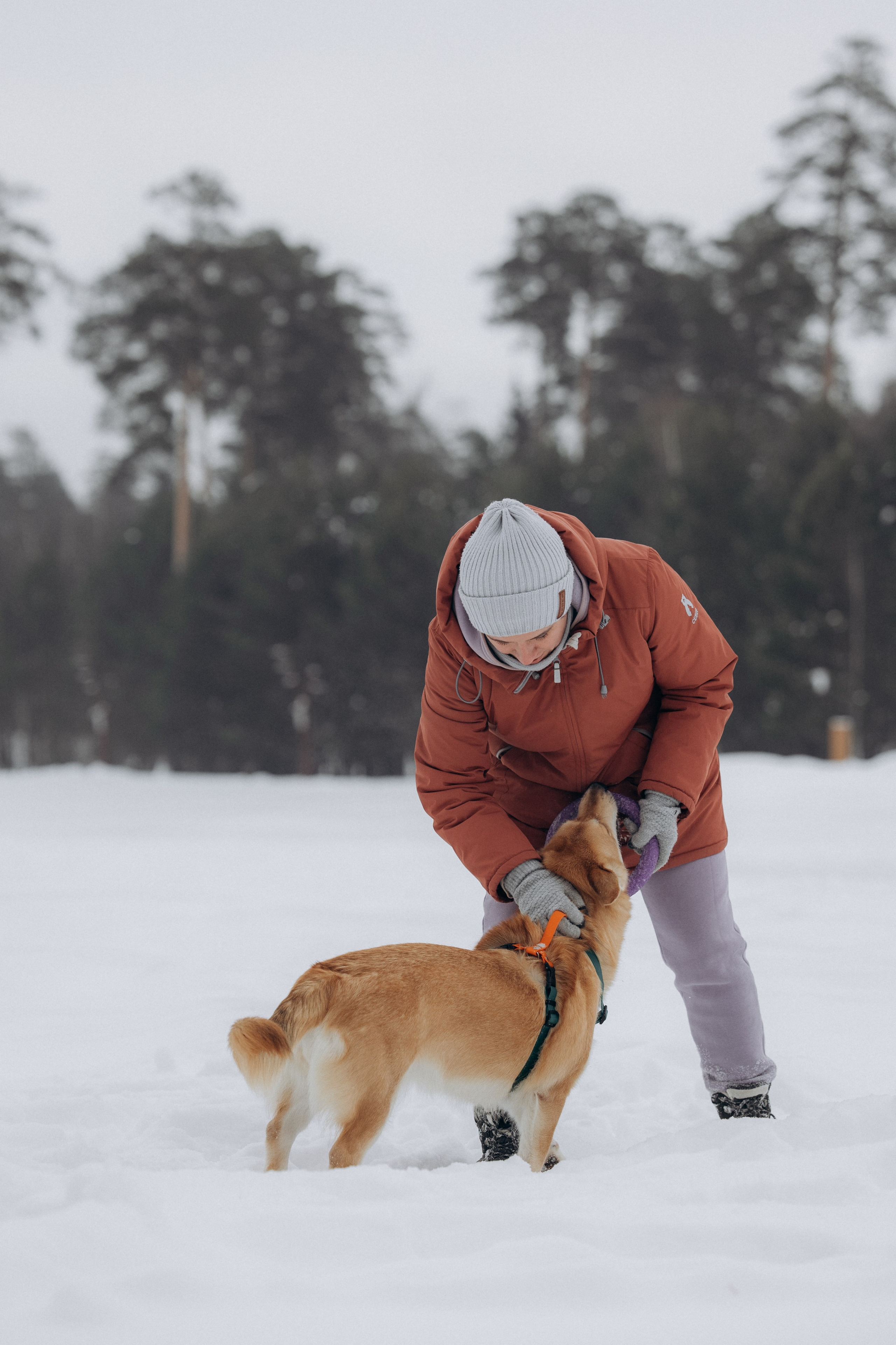 Прогулка на озере зимой. Фотограф анималист в Казани Алина Сулейманова. Фотограф животных