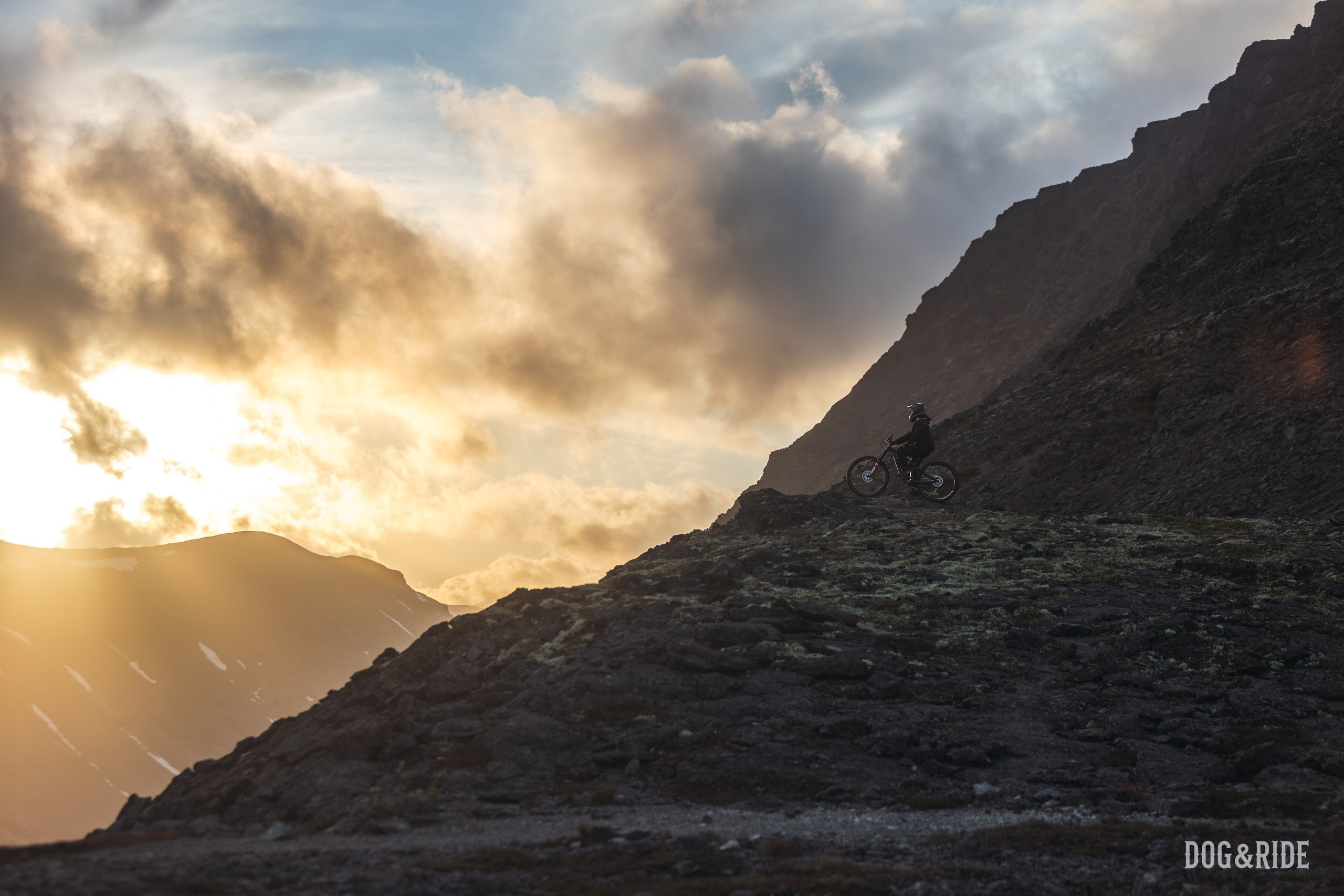 Хибины. Фотограф анималист Никита Натальный
