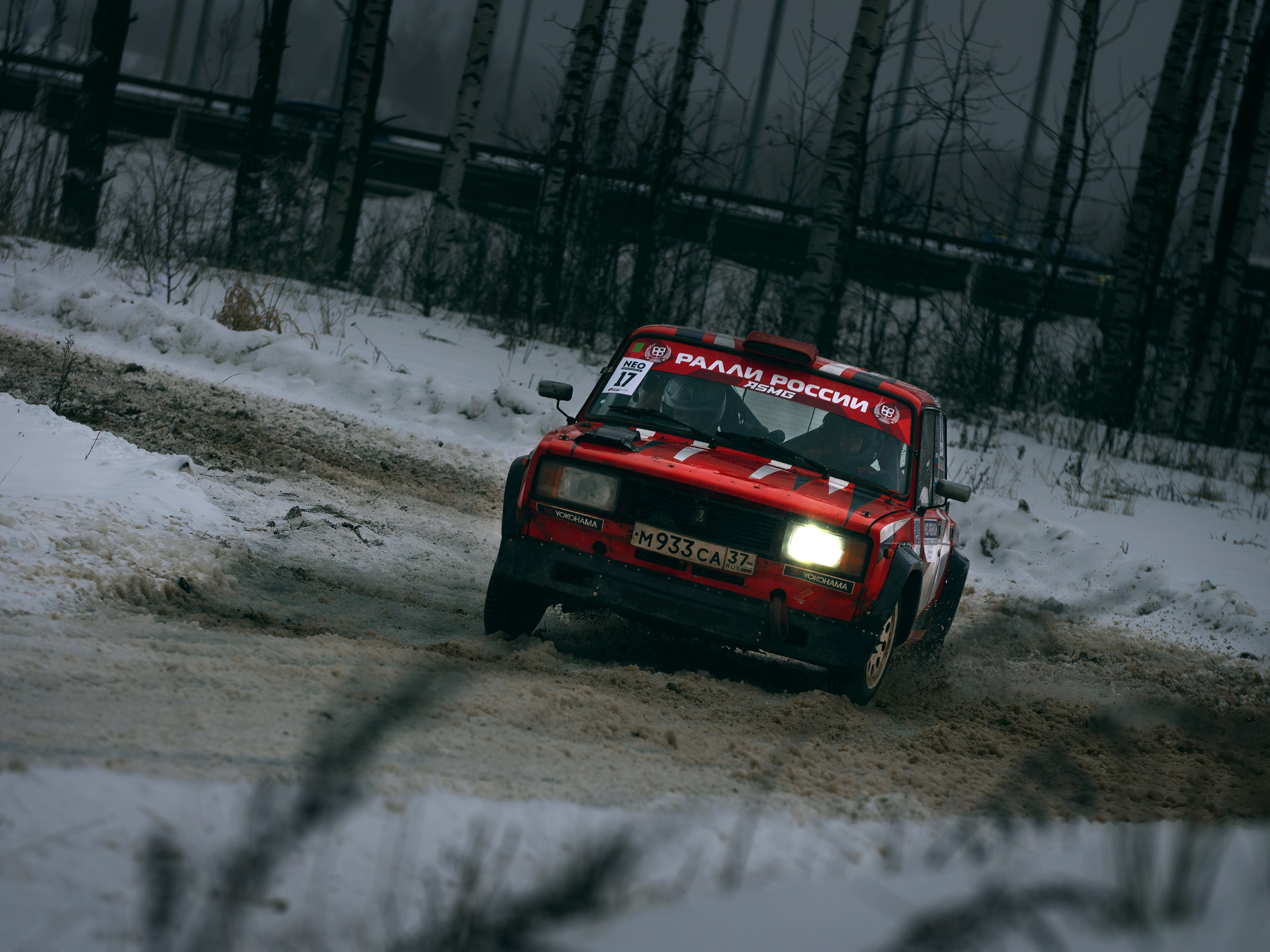 Ралли NEO Oil. Фотограф анималист Никита Натальный