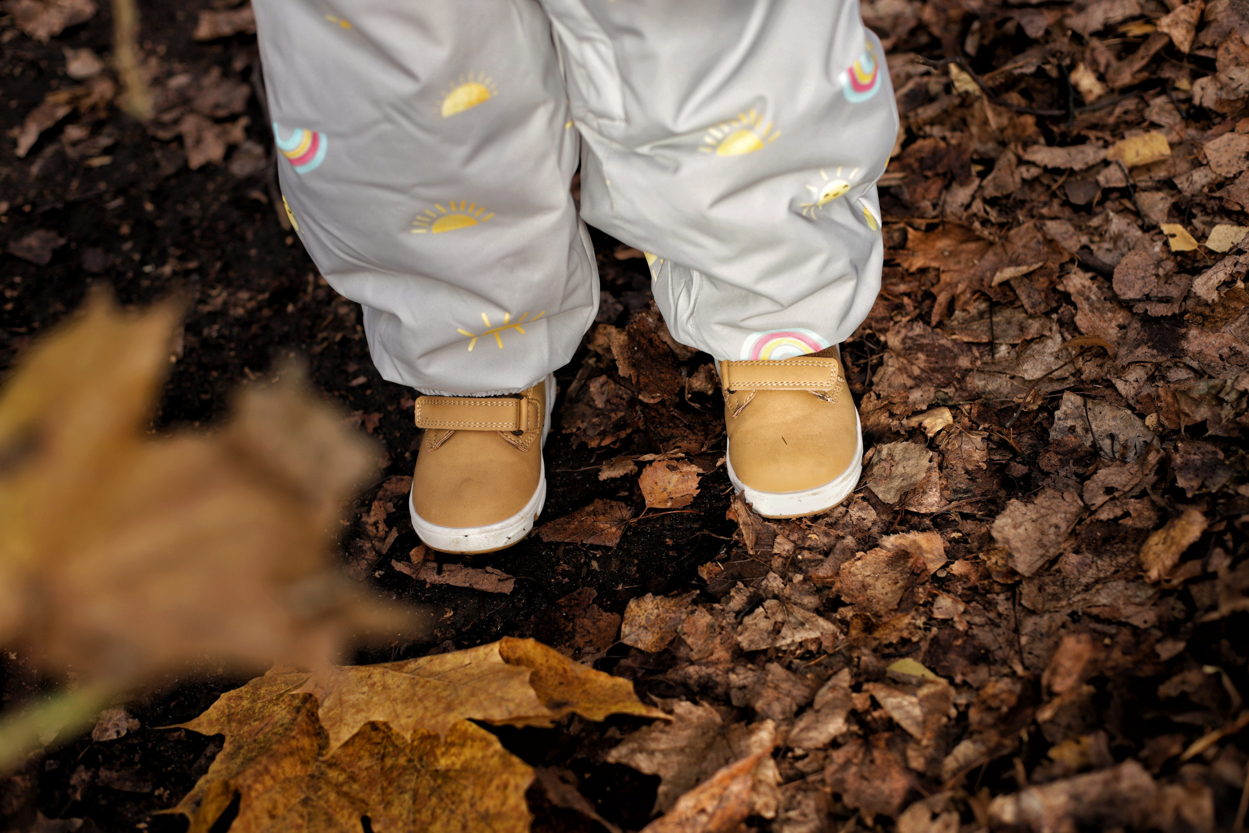 Семейные фотосесии. Диана Николаева — фотограф город Балашиха