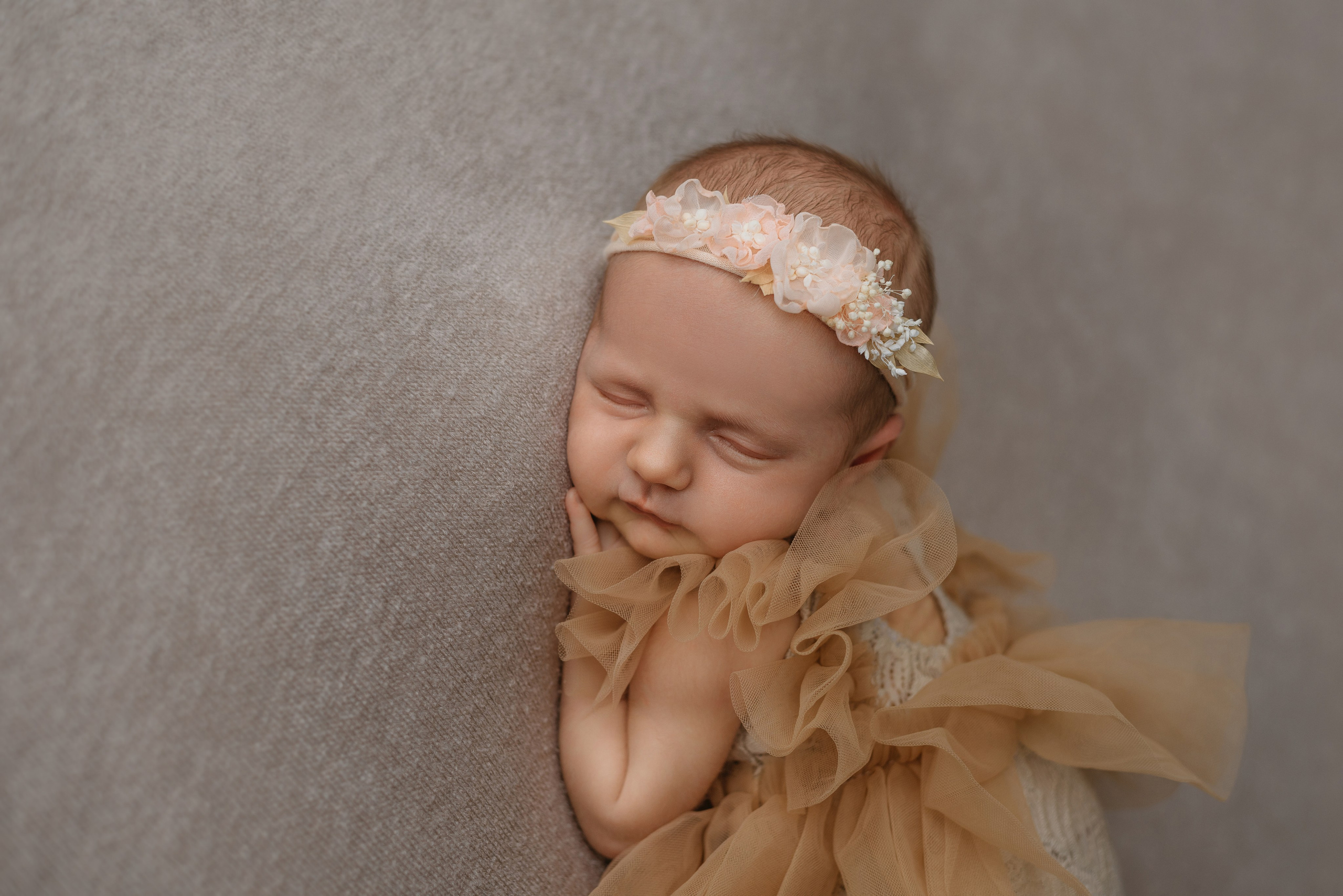 Дана. Фотограф новорожденных Белгород