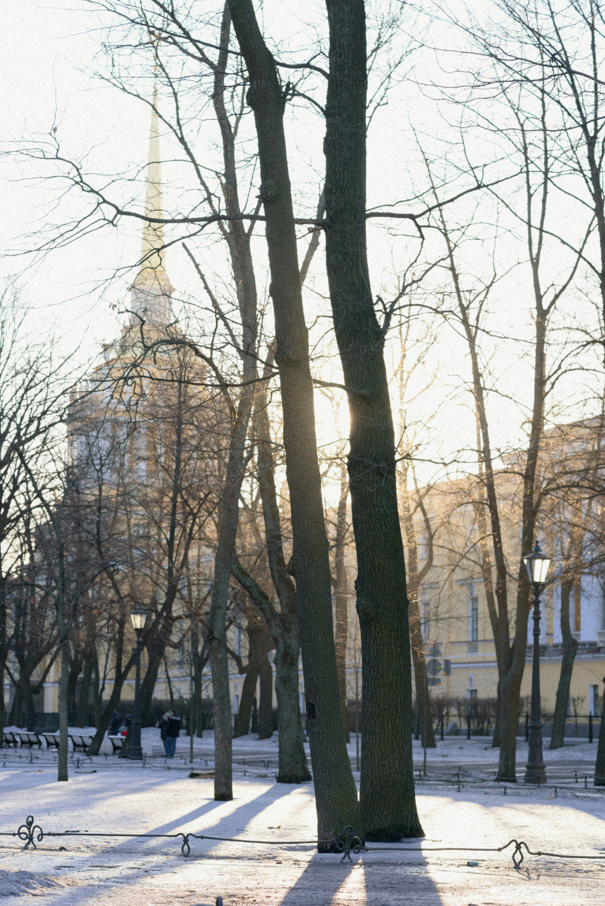 Оля+Дима. Фотограф в Санкт-Петербурге Юлия Стехова