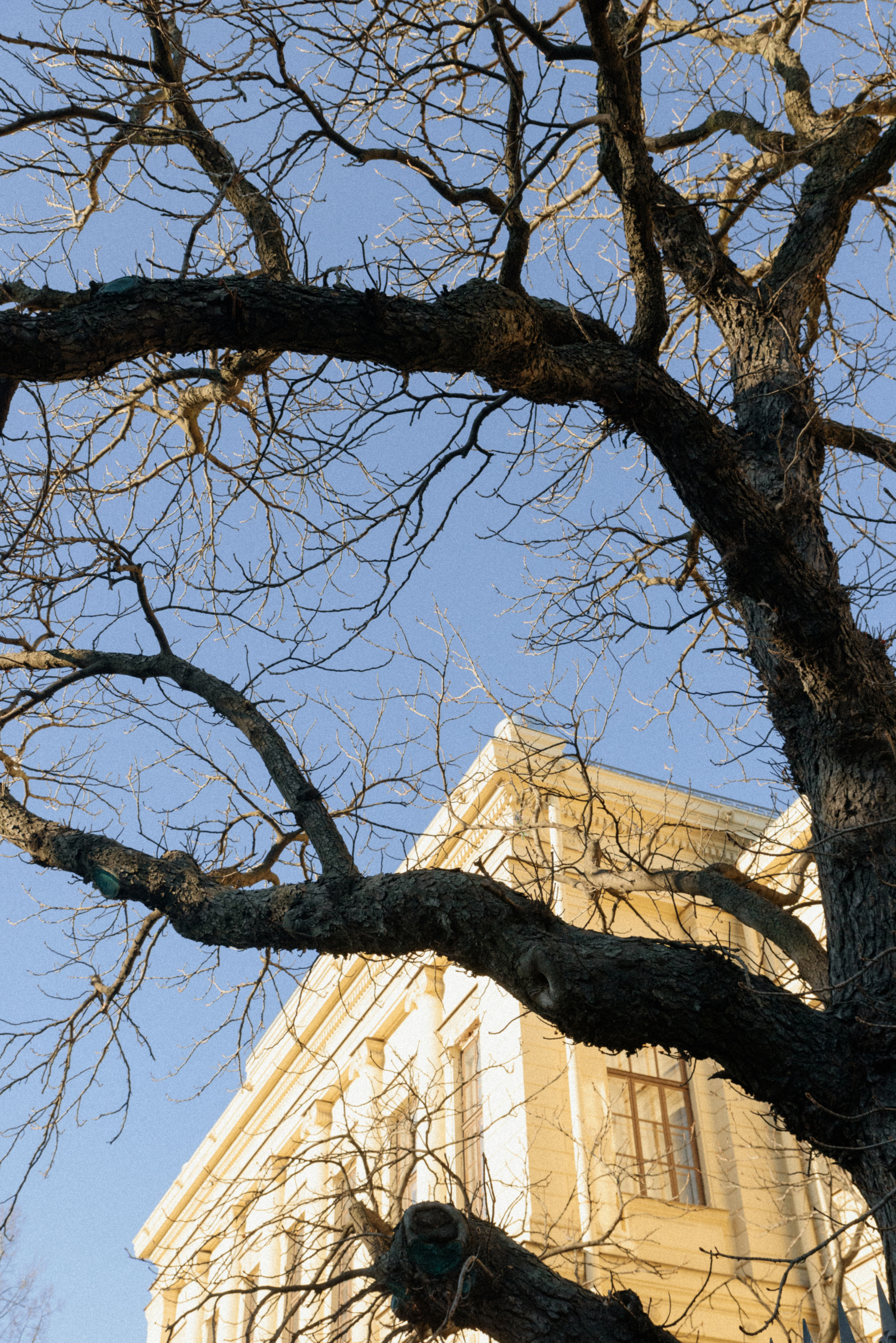 Оля+Дима. Фотограф в Санкт-Петербурге Юлия Стехова