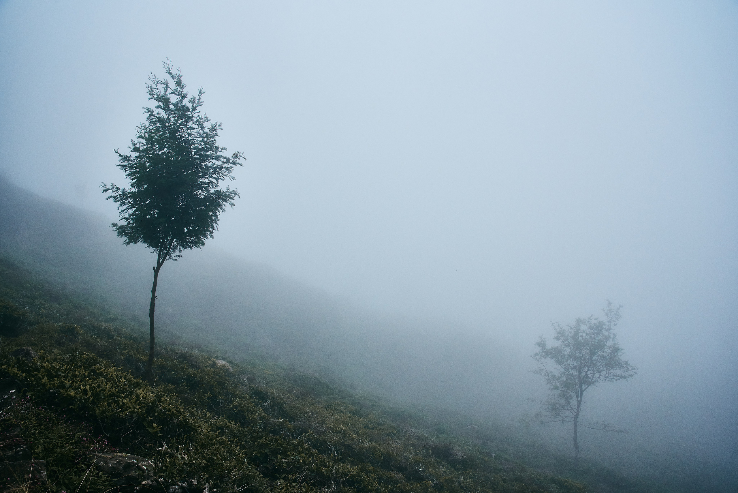 Moto Trip 23-05-19. Никита Хохловский фото и видео продакшн