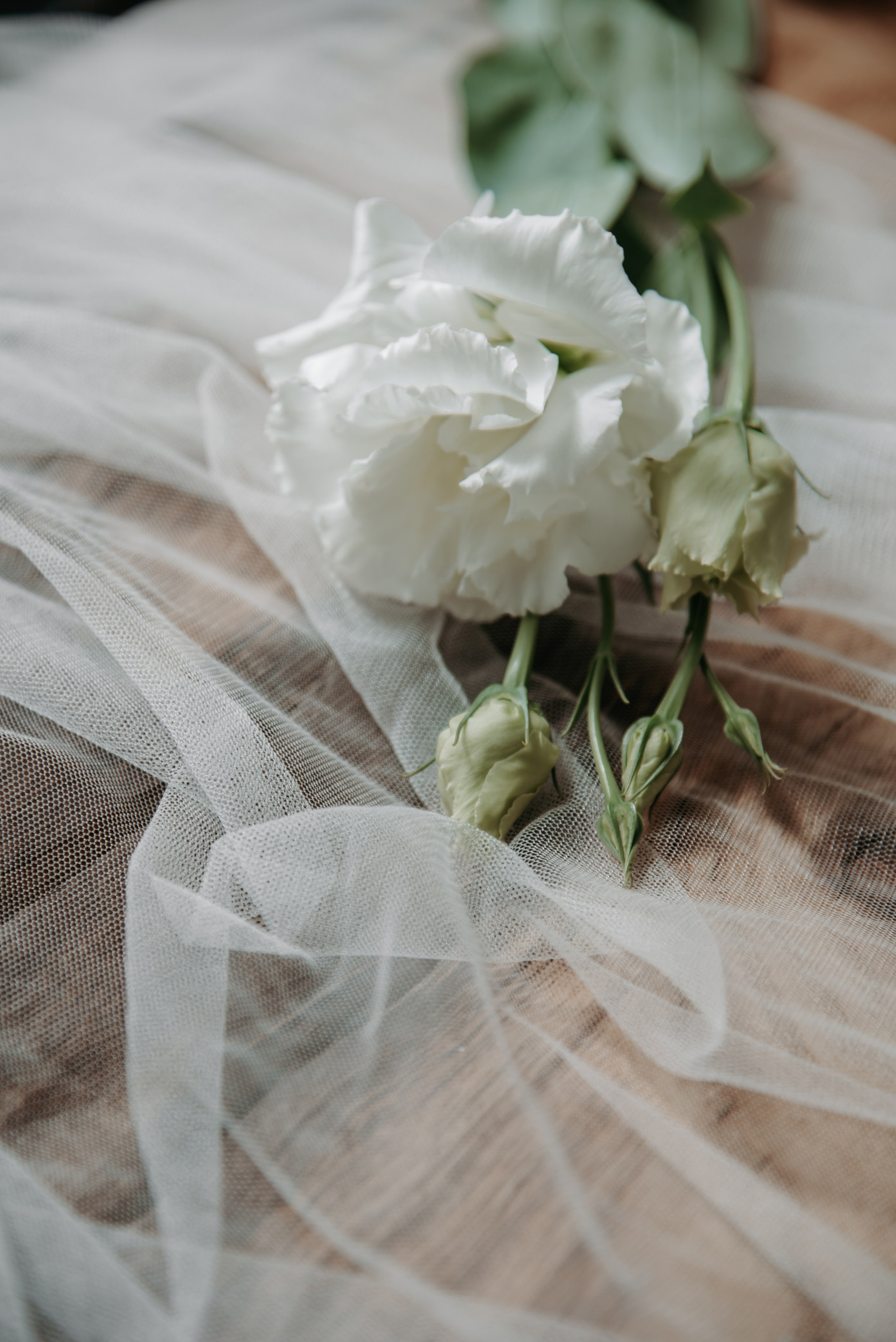 Тот самый момент. Свадебный и семейный фотограф Темрюк Алёна Ковальская