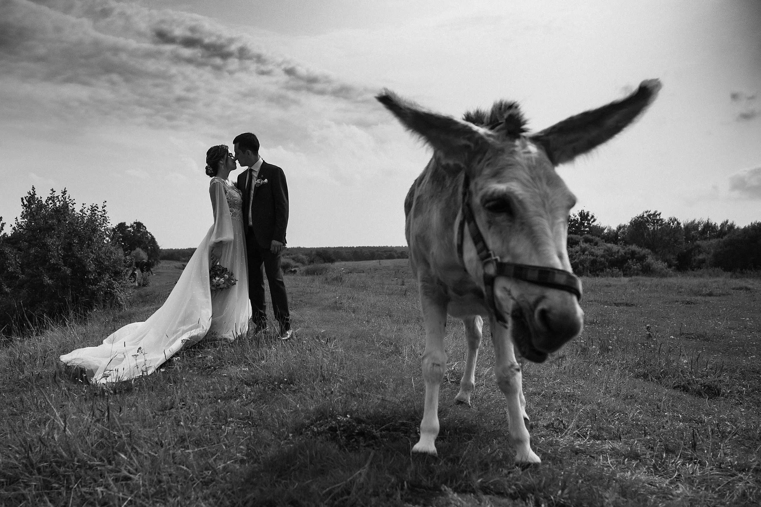 Свадебная. Каплицкая Любовь — фотограф Тверь