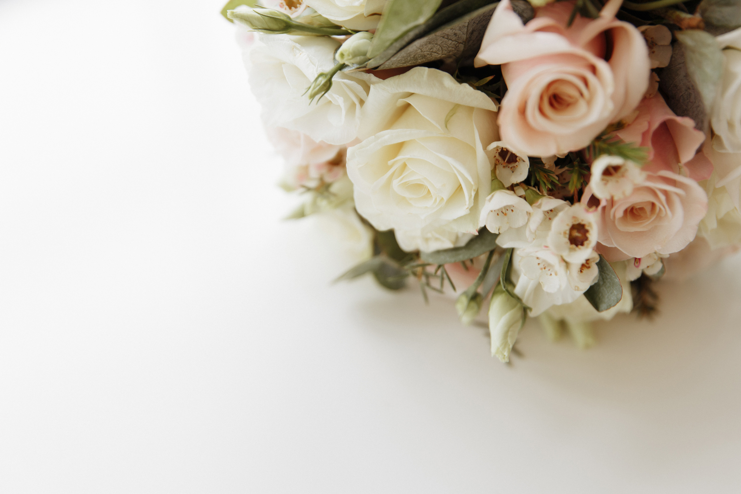 Отзывы. Каплицкая Любовь — фотограф Тверь