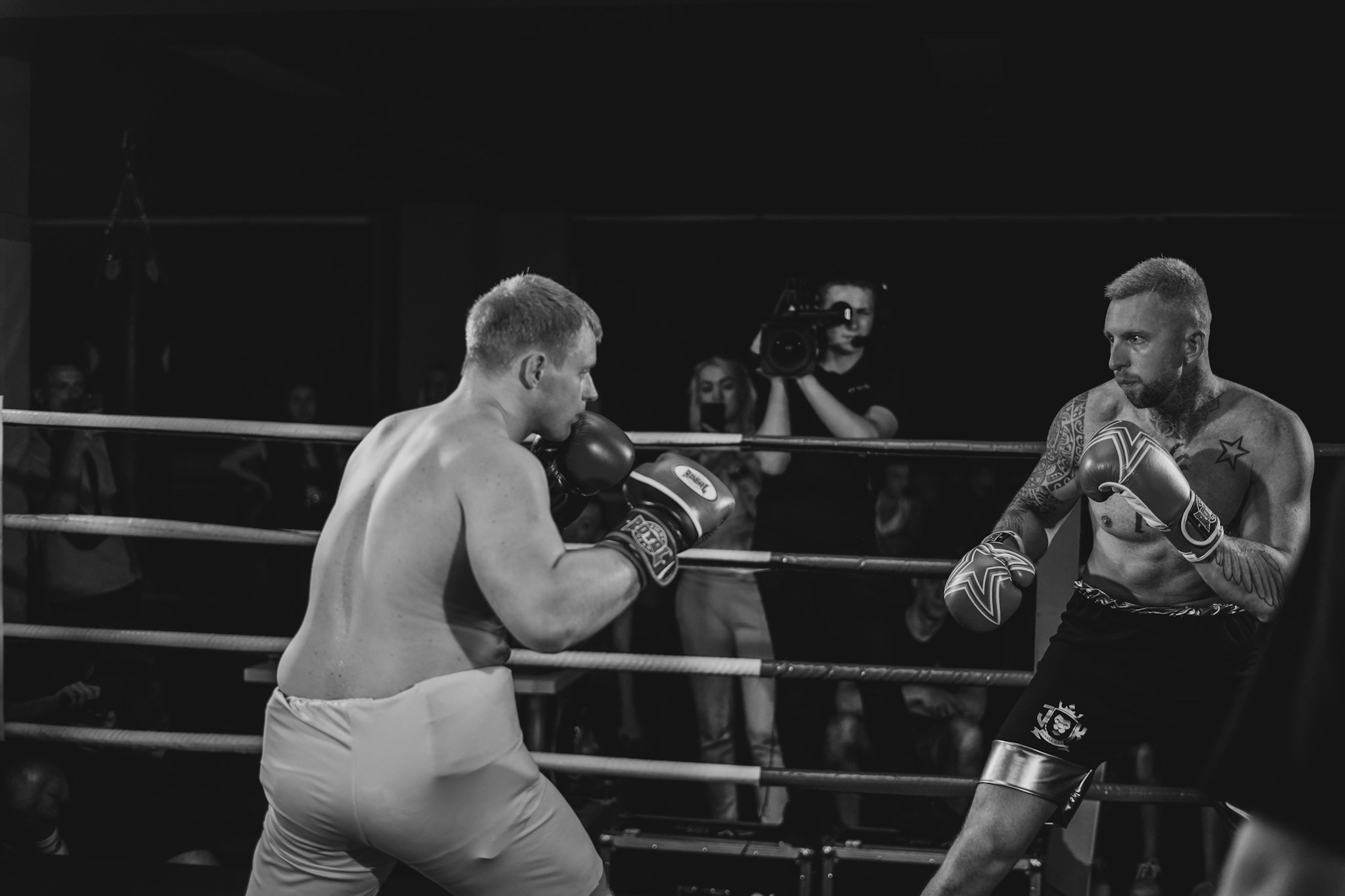 Галерея. Beardy Pix