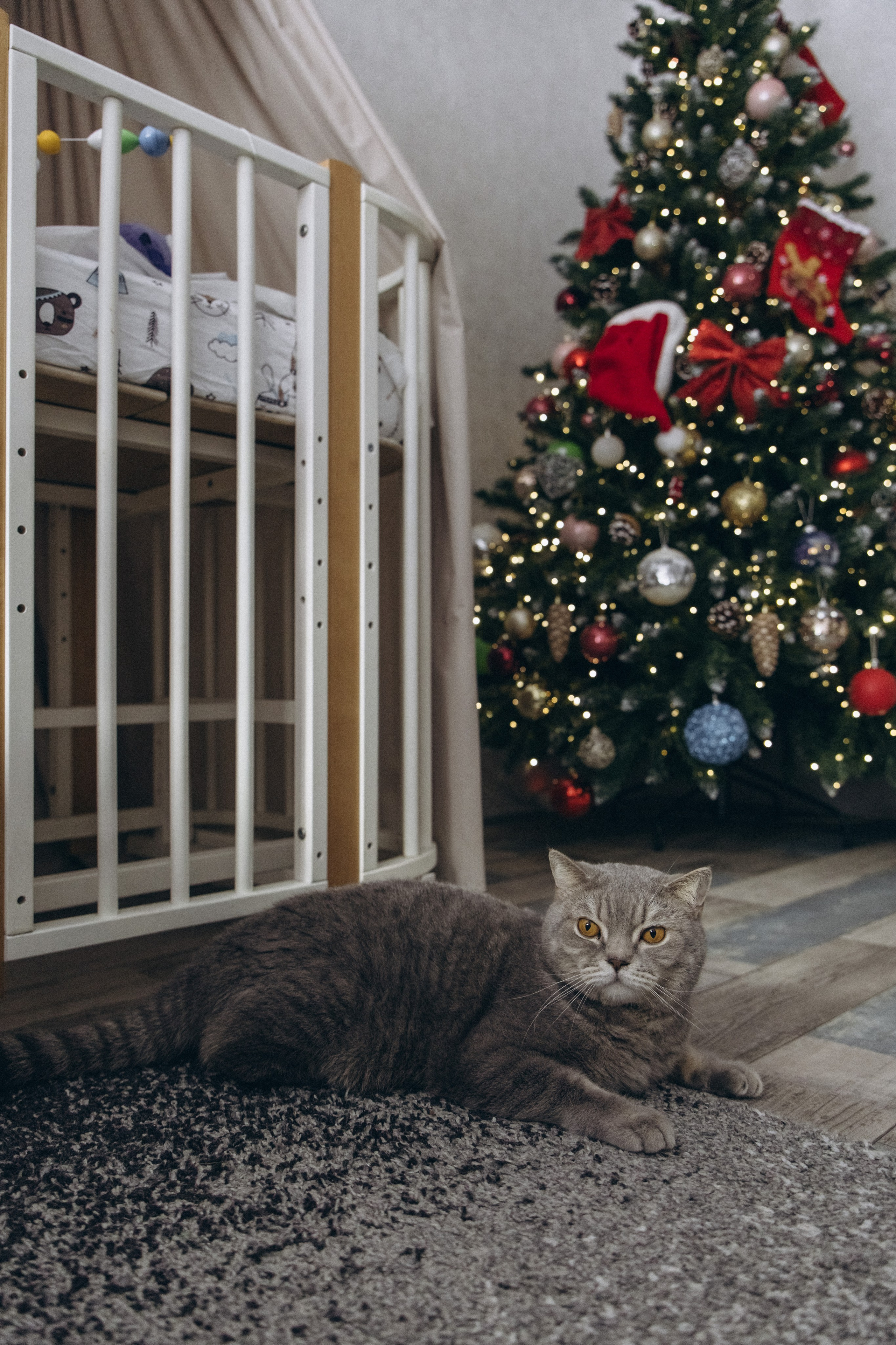 Домашняя фотосессия. Фотограф в Новосибирске Екатерина Васильева