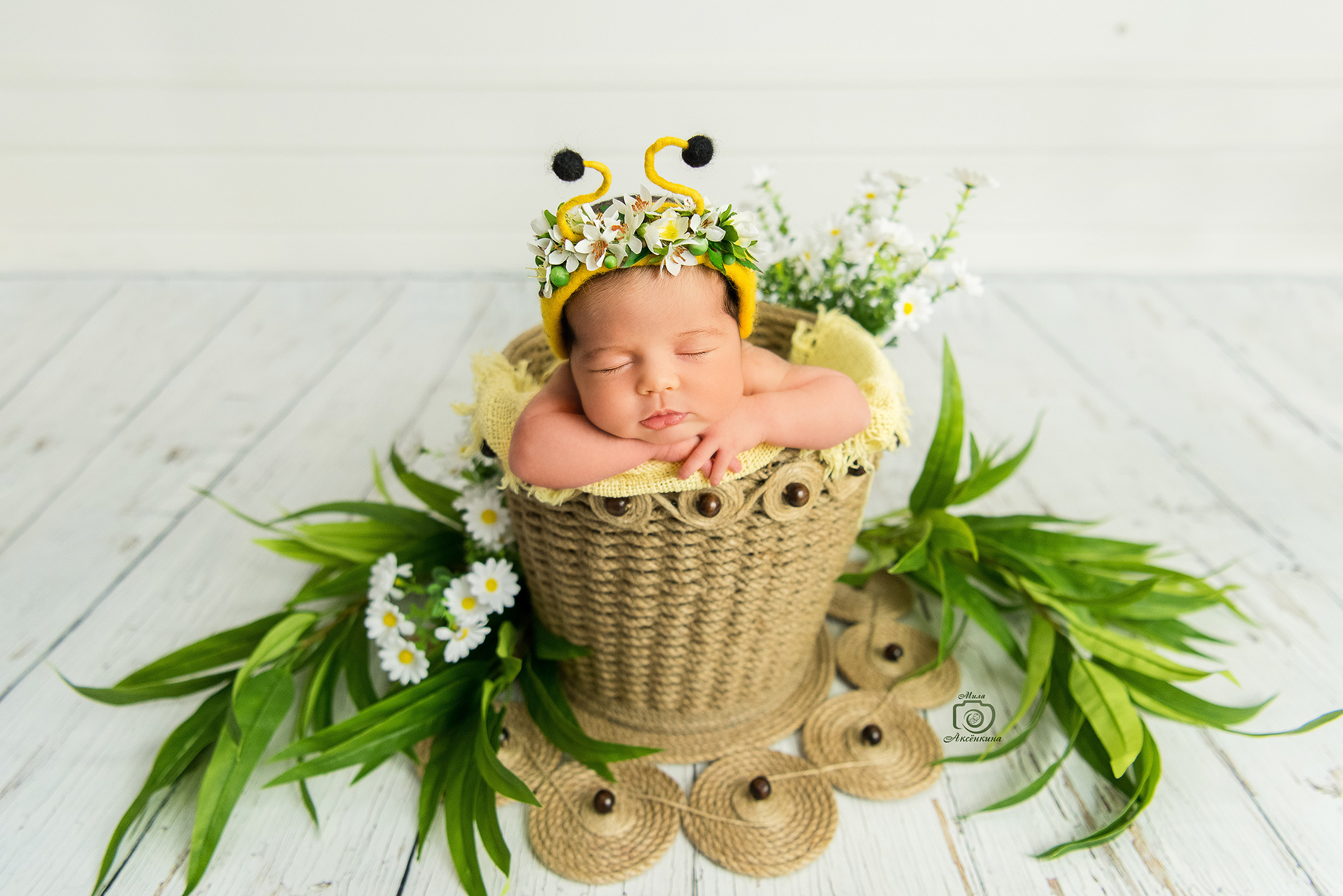 Портфолио новорожденных. Фотограф в Нефтеюганске Мила Аксёнкина