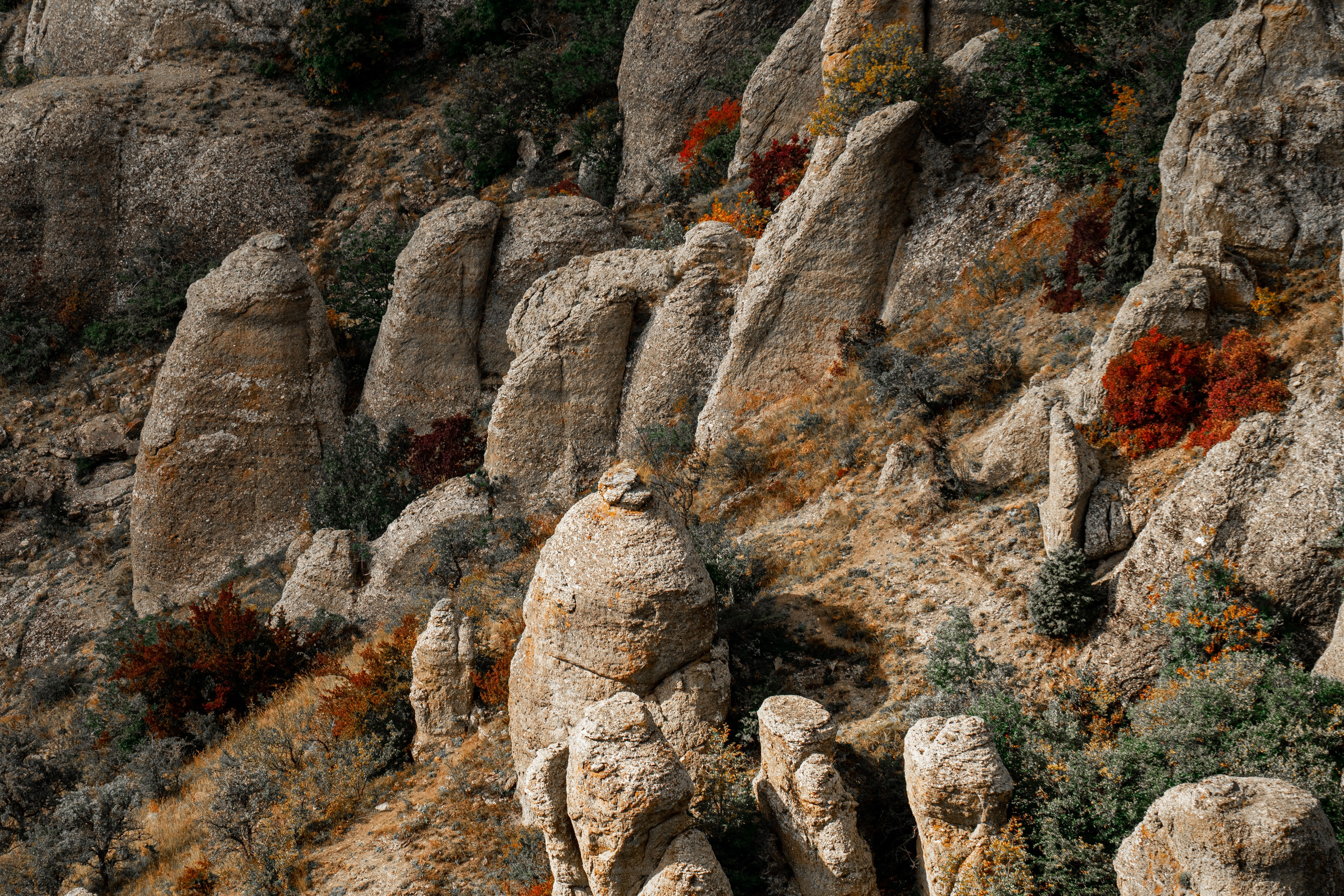 Путешествия и пейзаж. Репортажный фотограф в Красной Поляне и Сочи Павлюченко Екатерина