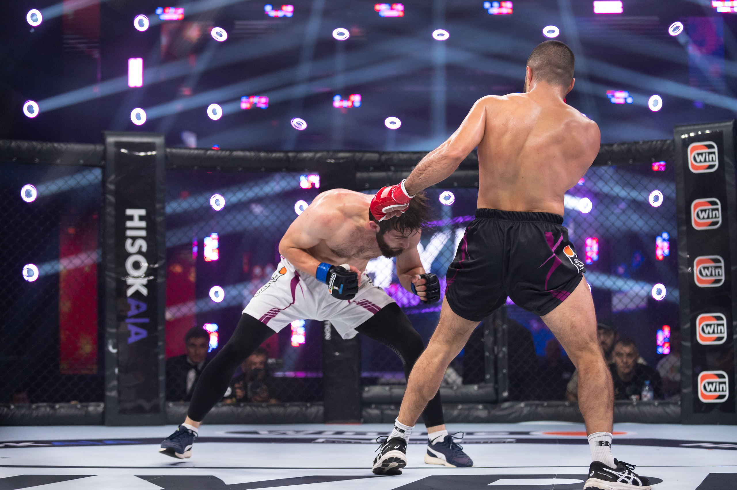 Бои. Репортажный фотограф в Красной Поляне и Сочи Павлюченко Екатерина