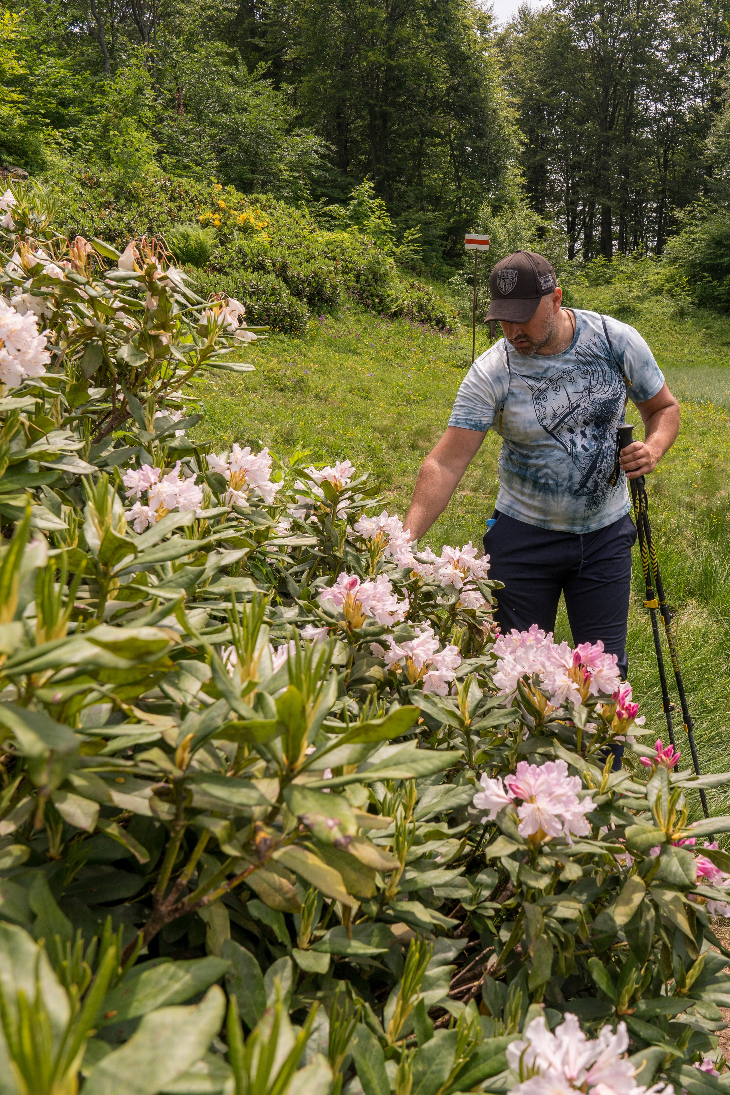 MICE мероприятие для компании «Доставка морем»: хайкинг к Ачипсинским водопадам. Репортажный фотограф в Красной Поляне и Сочи Павлюченко Екатерина