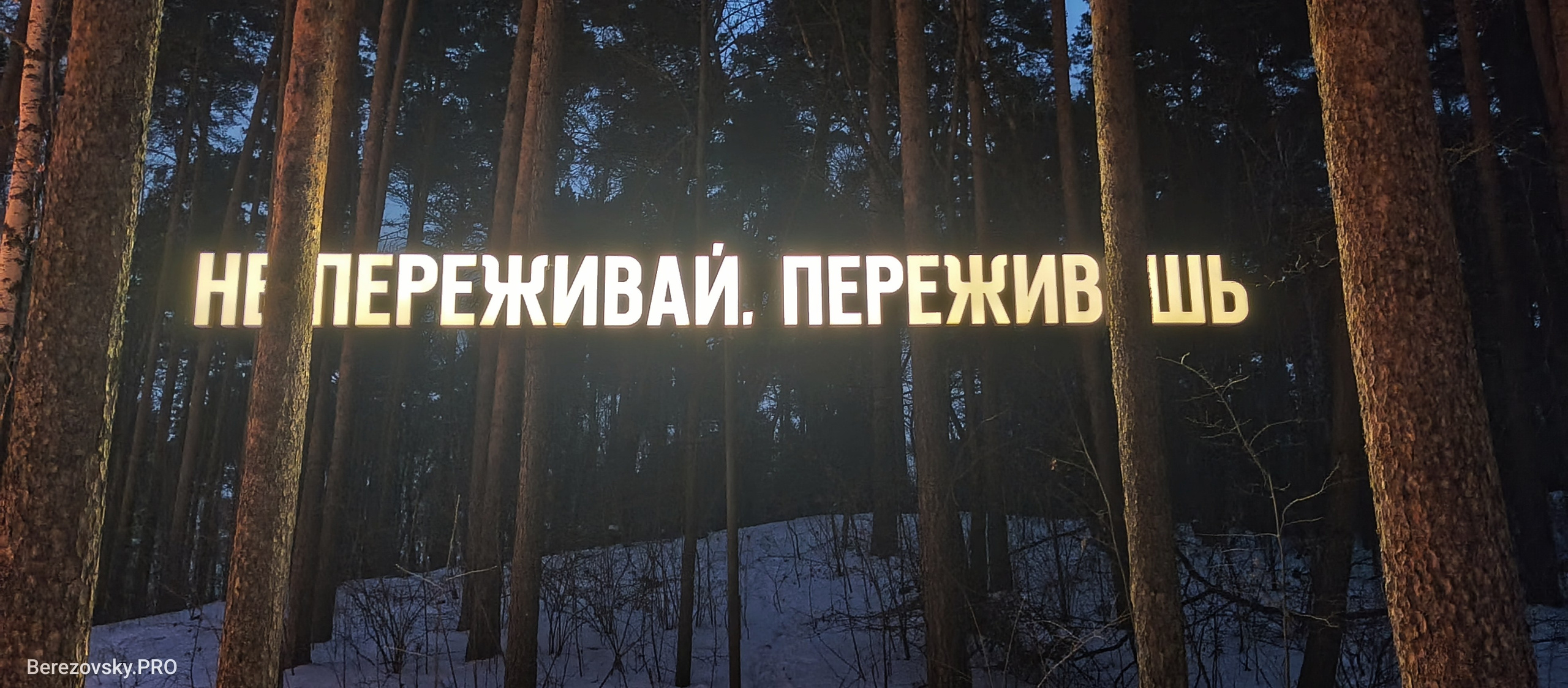 Солнечный. Фотограф в Санкт-Петербурге Березовский Даниил