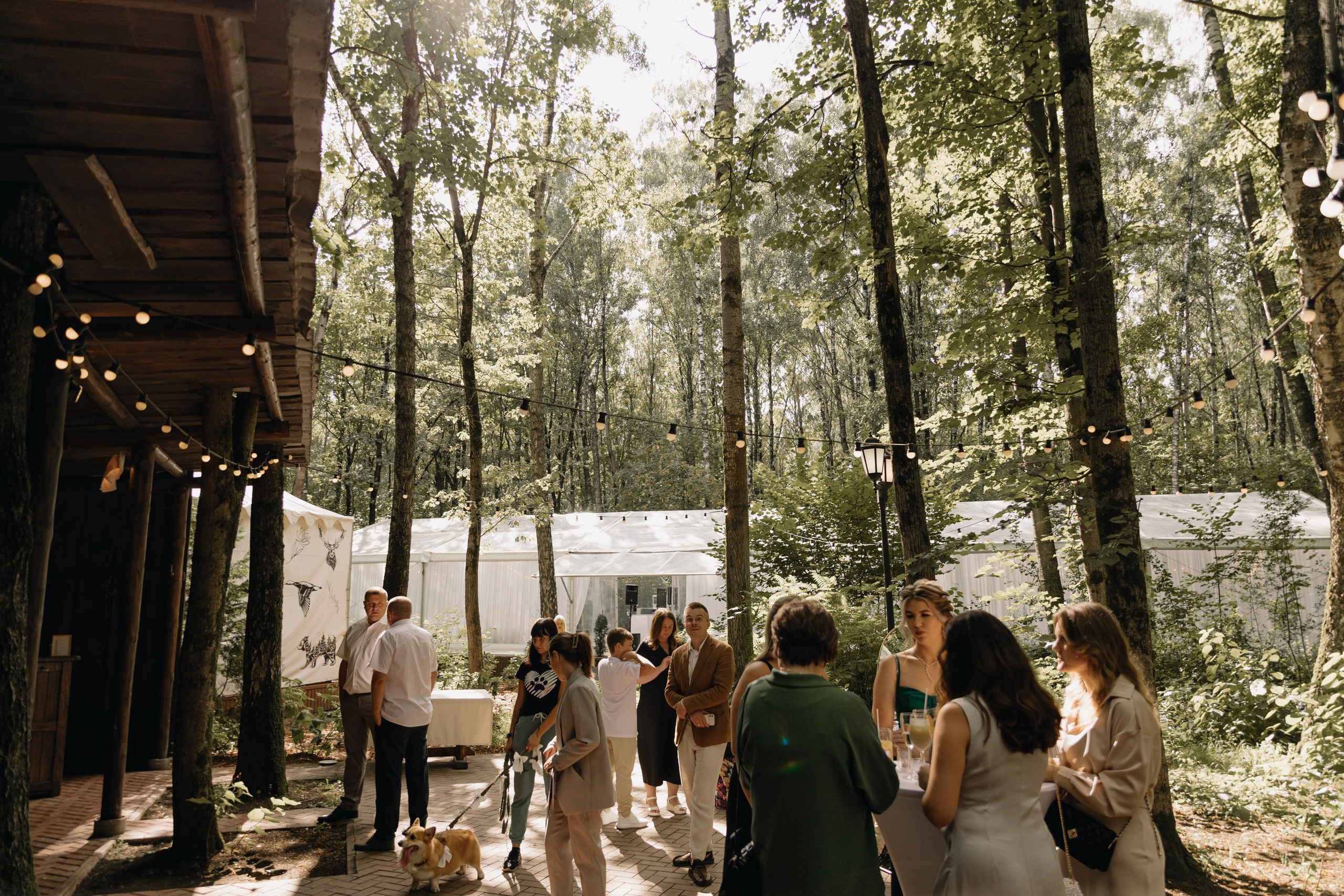 A & S. Главная