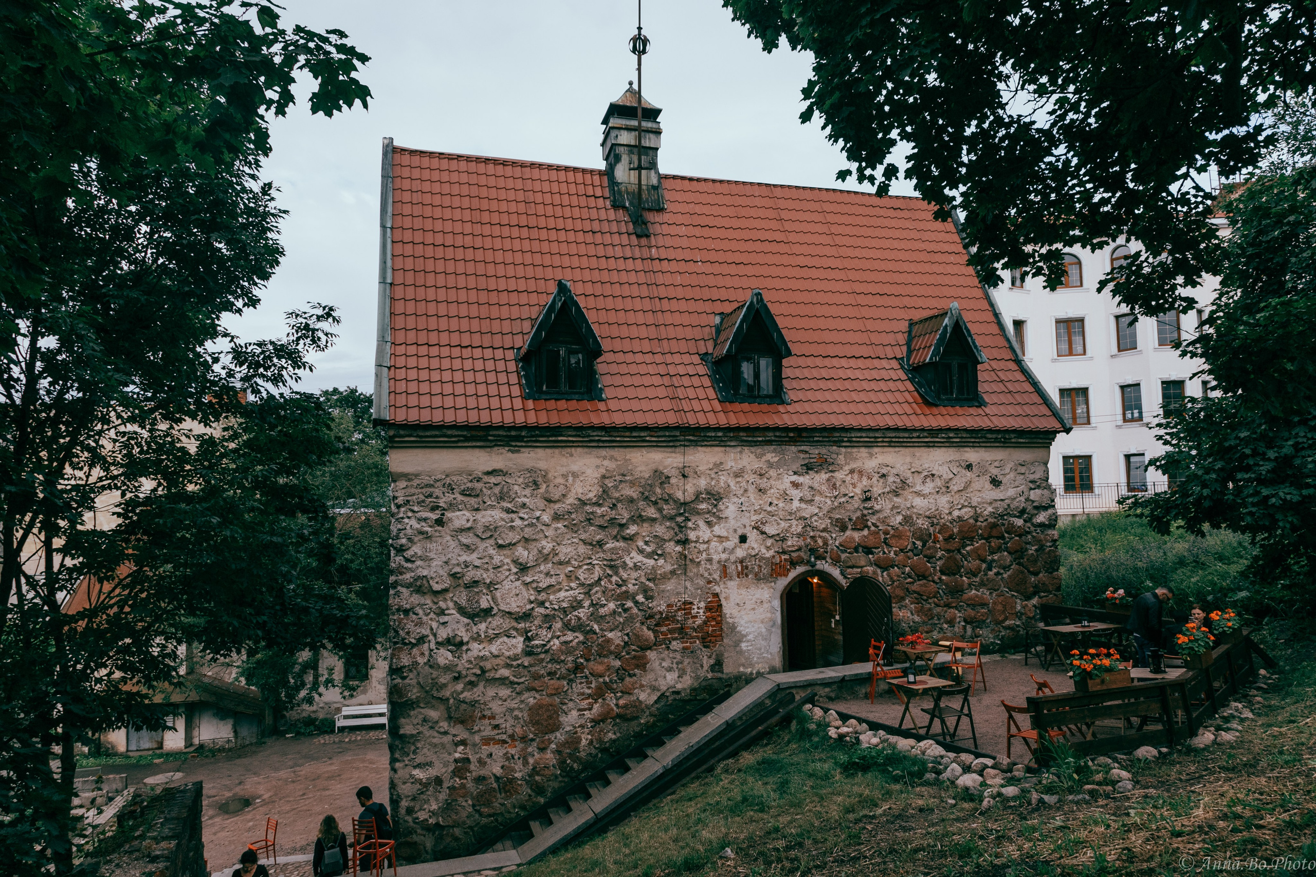 Выборг, Карелия. Фотограф и ИИ-креатор Анна Бобринёва