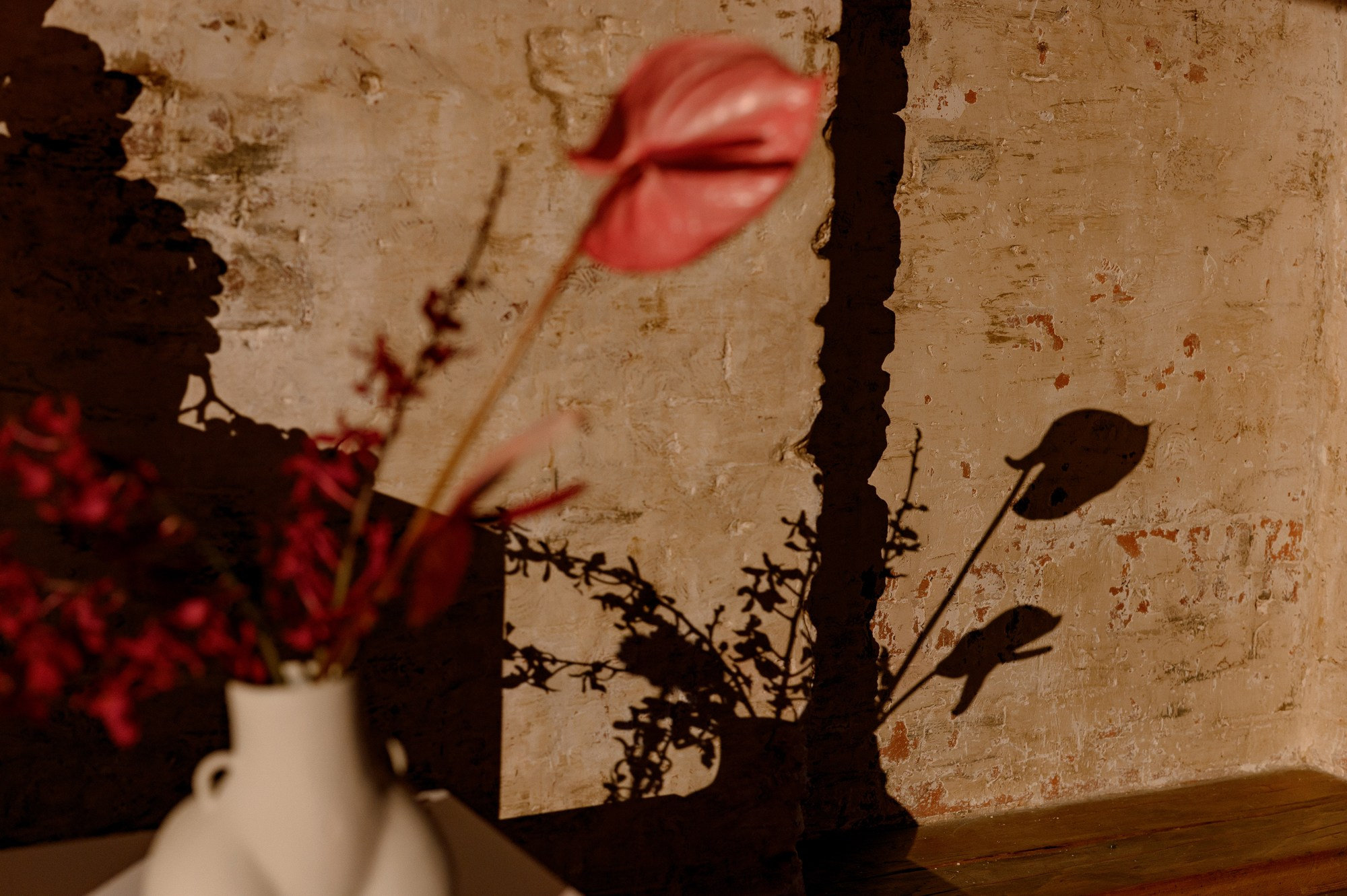 Ночь. Музей. XIII+. Алина Посторонка