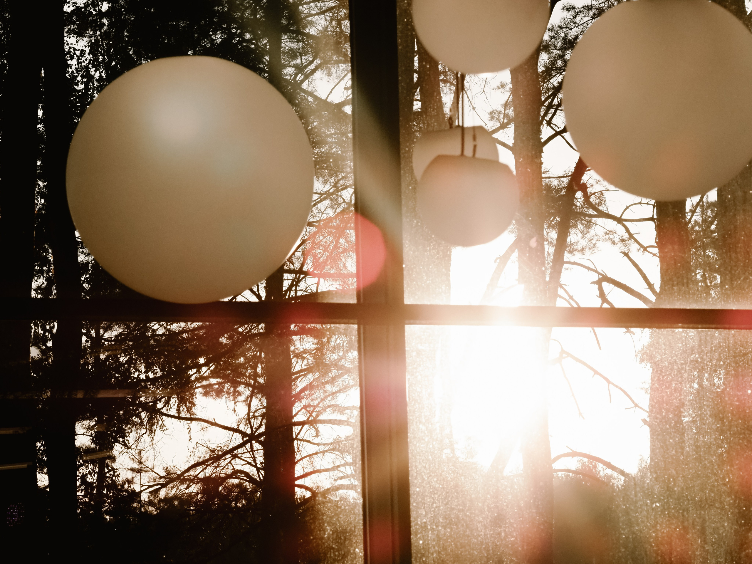 Инна и Алексей. Фотограф Рязань. Семейный Свадебный фотограф