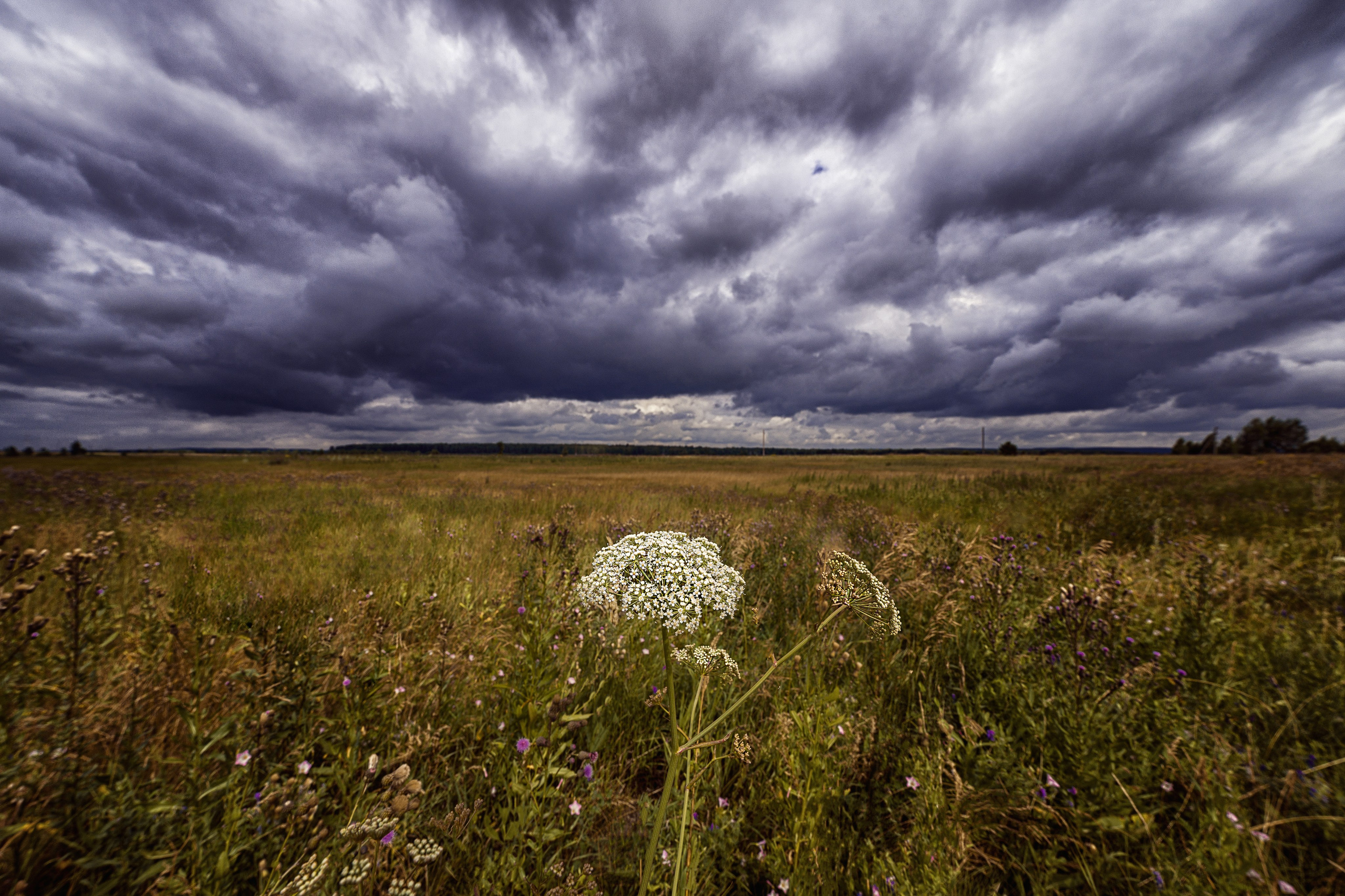 Челябинская область. Портретный фотограф в Челябинске Катерина Руди
