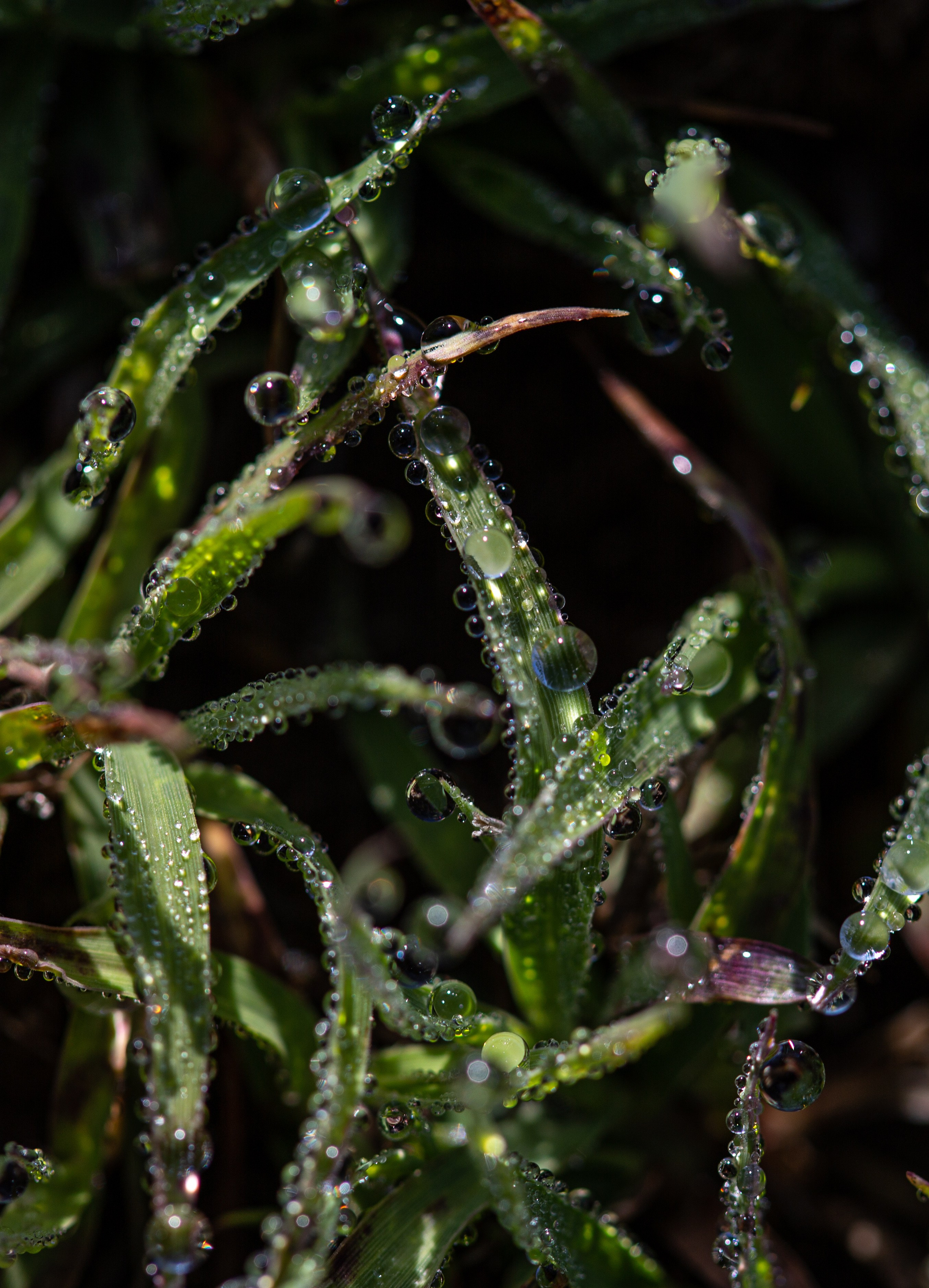 Россия. Северный Кавказ. Добродеева Алла фотограф, Москва