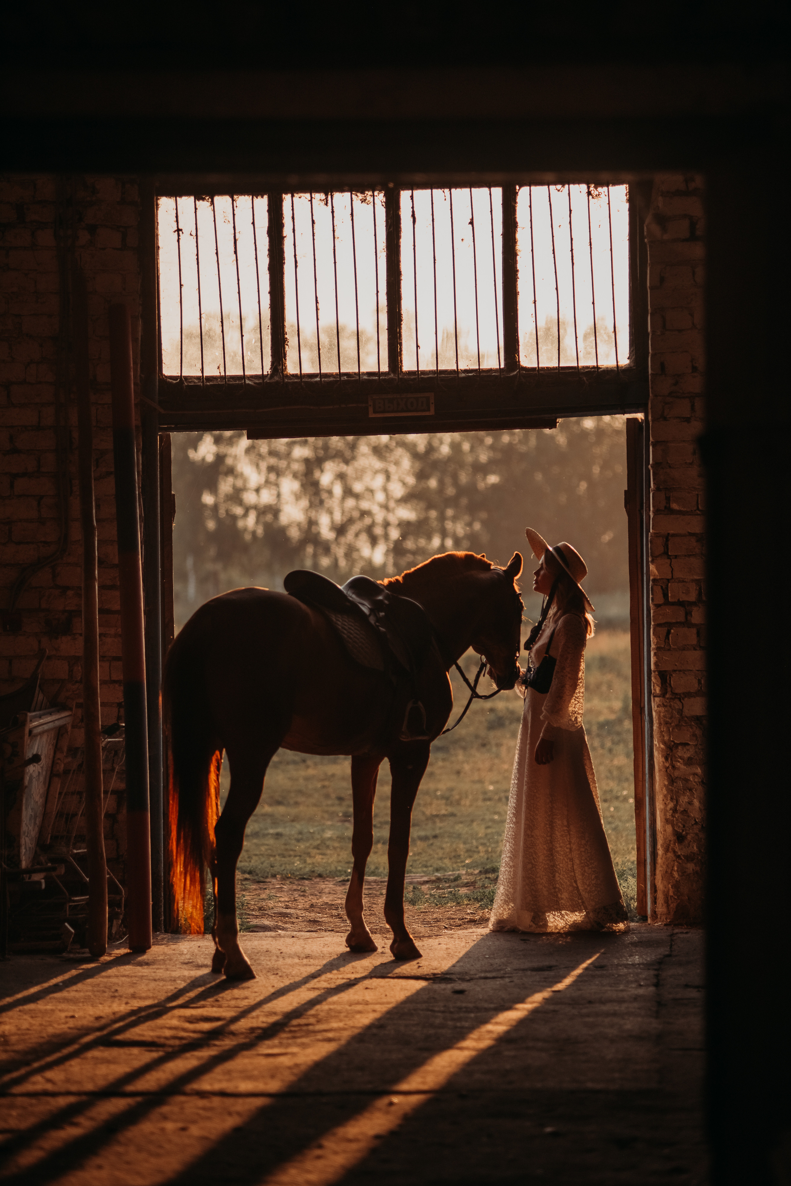 Романтика и Свобода. Фотосессии с лошадьми. Женский фотограф Наталья Латыпова