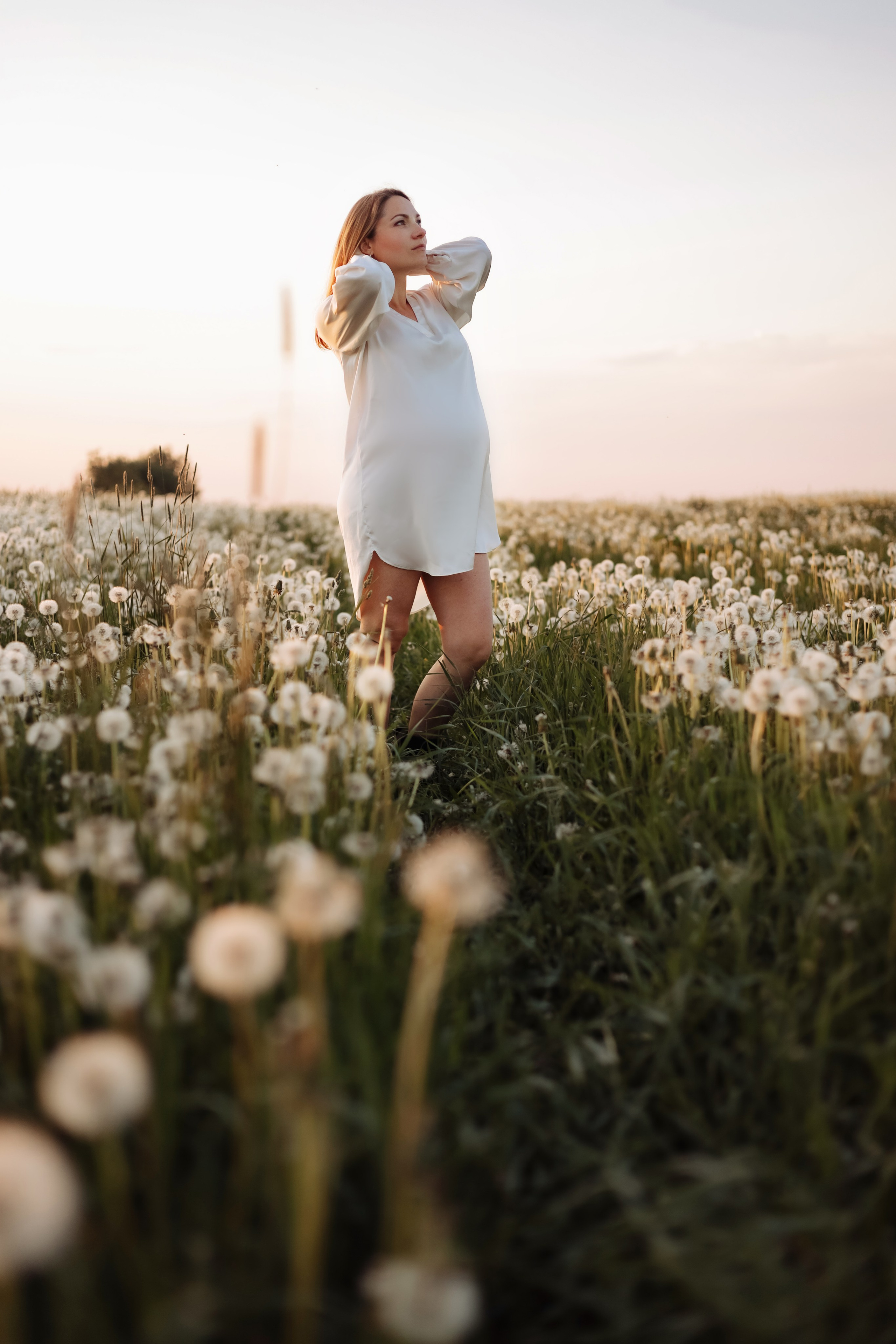 Закат. одуванчики. счастье. Фотограф в Санкт-Петербурге Знаменская Ирина