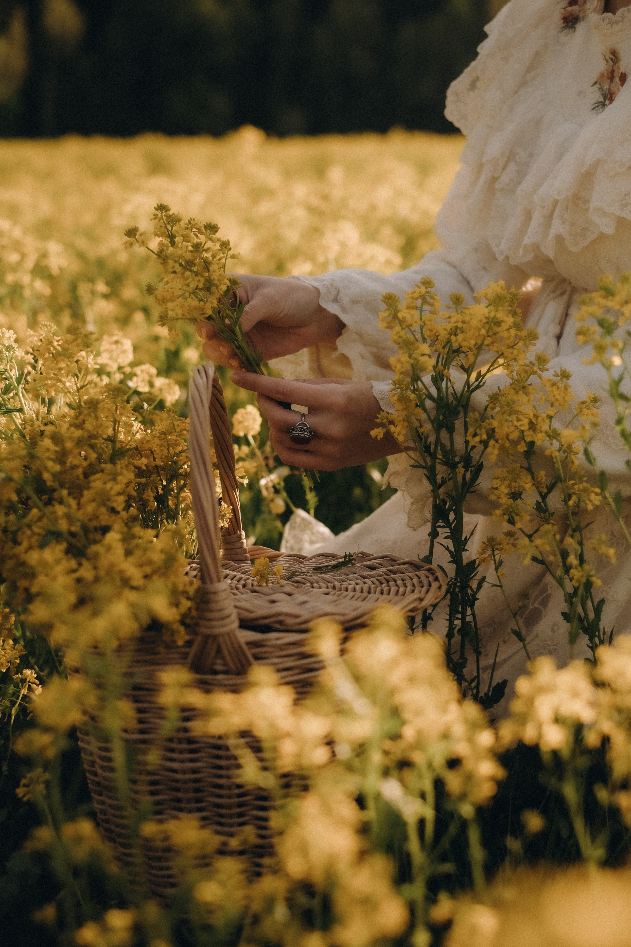 В золотом поле. Свадебный и семейный фотограф в Москве Инника Кетлер