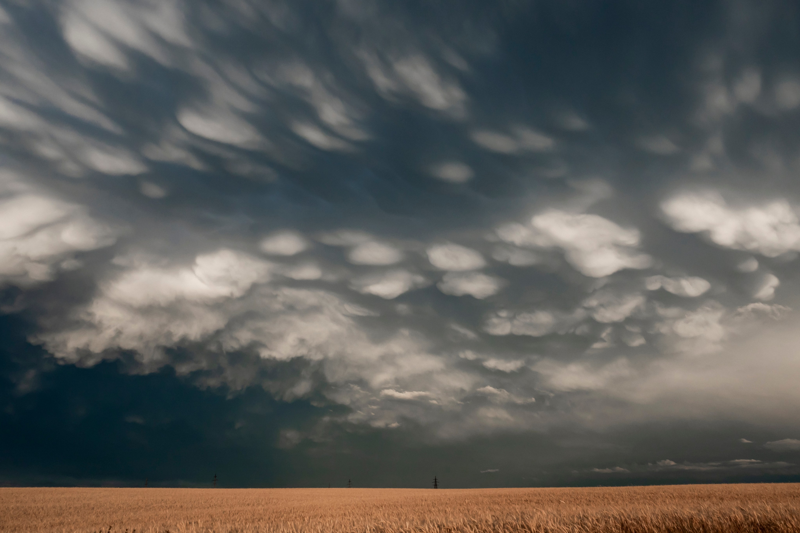 Атмосферные фотографии природы. Съёмка документальных и корпоративных фильмов с индивидуальным подходом