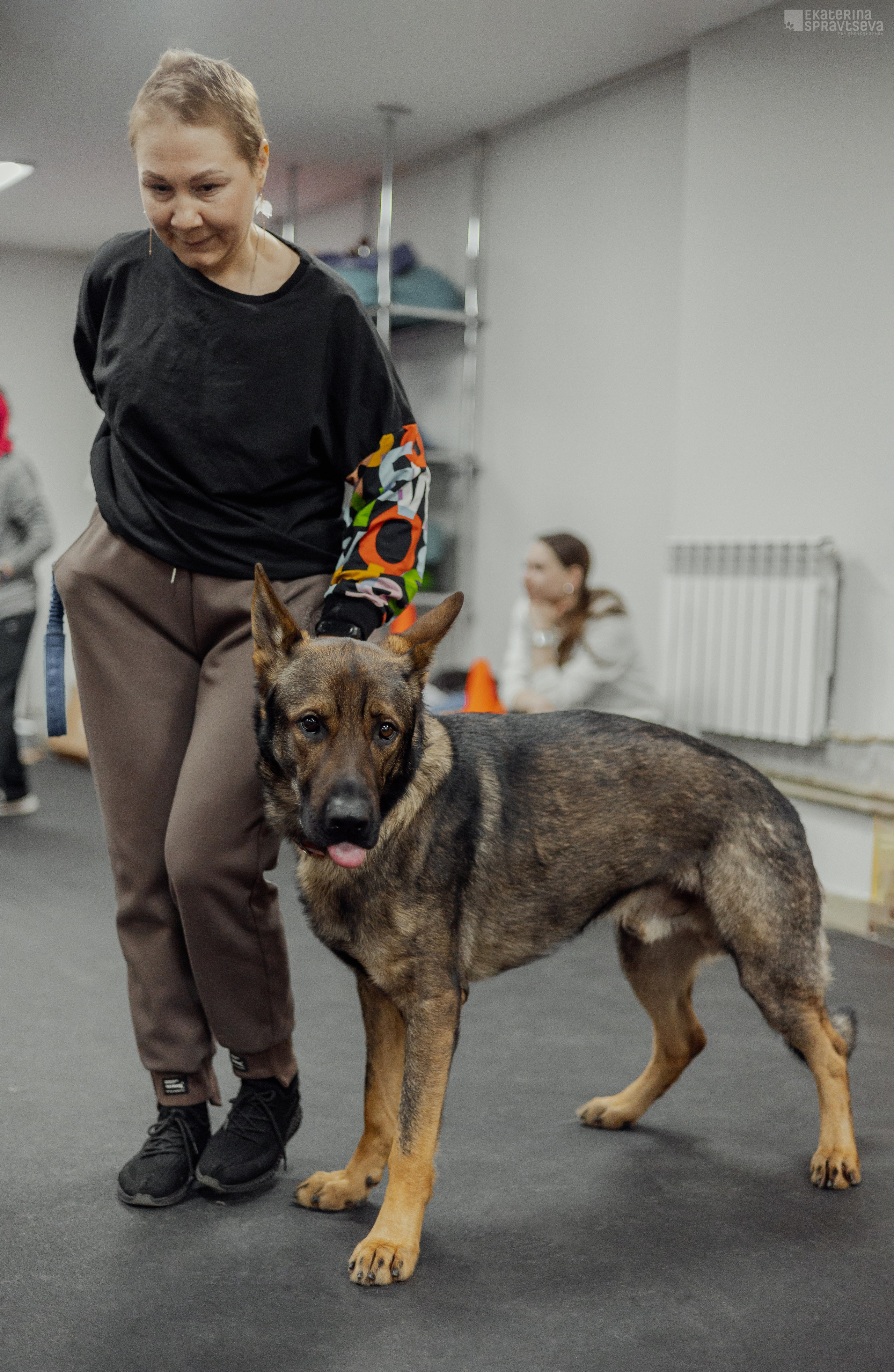 NoseWork. Фотограф Анималист Екатерина Справцева в Нижнем Новгороде