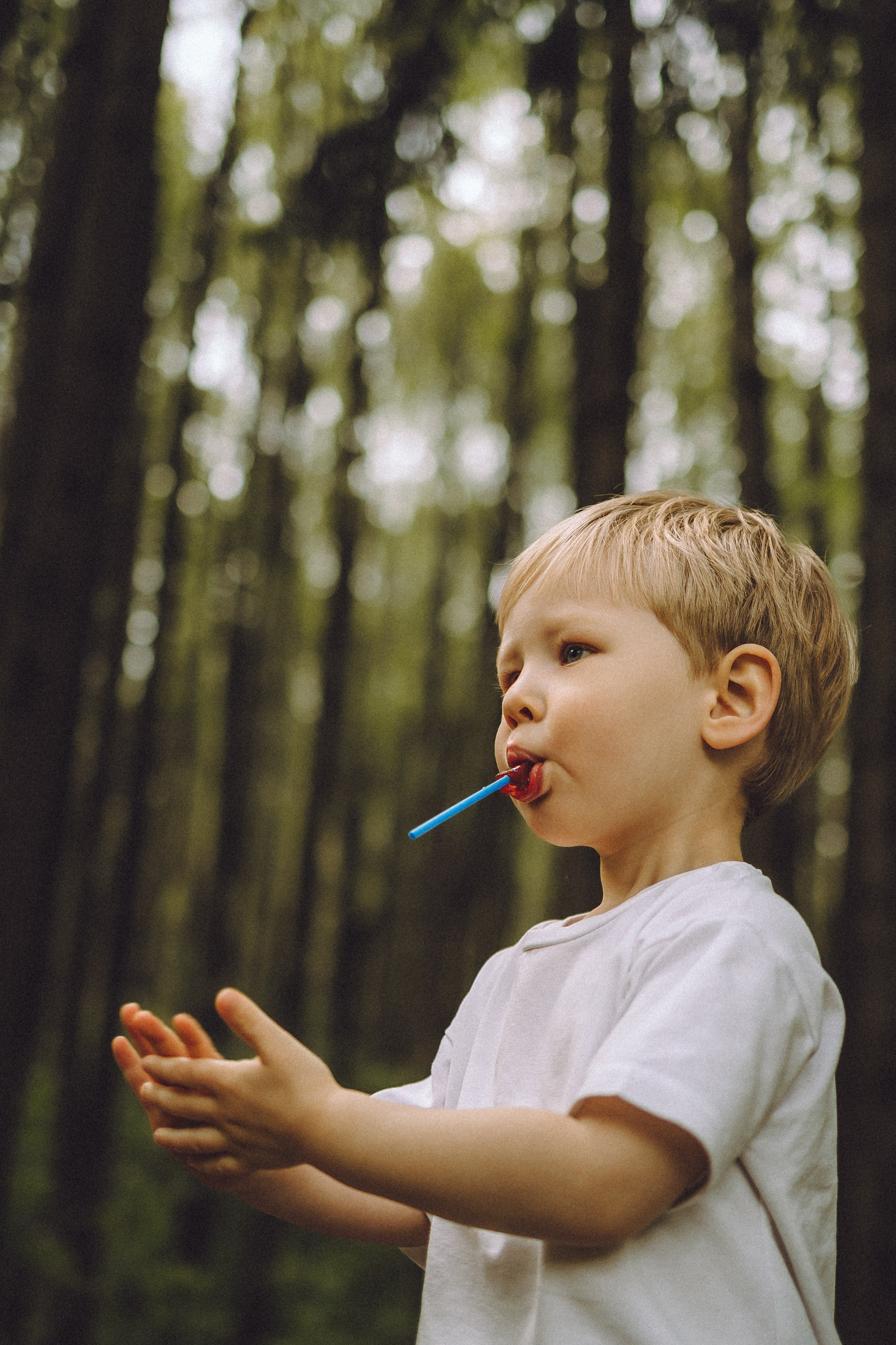 Лорик и его семья