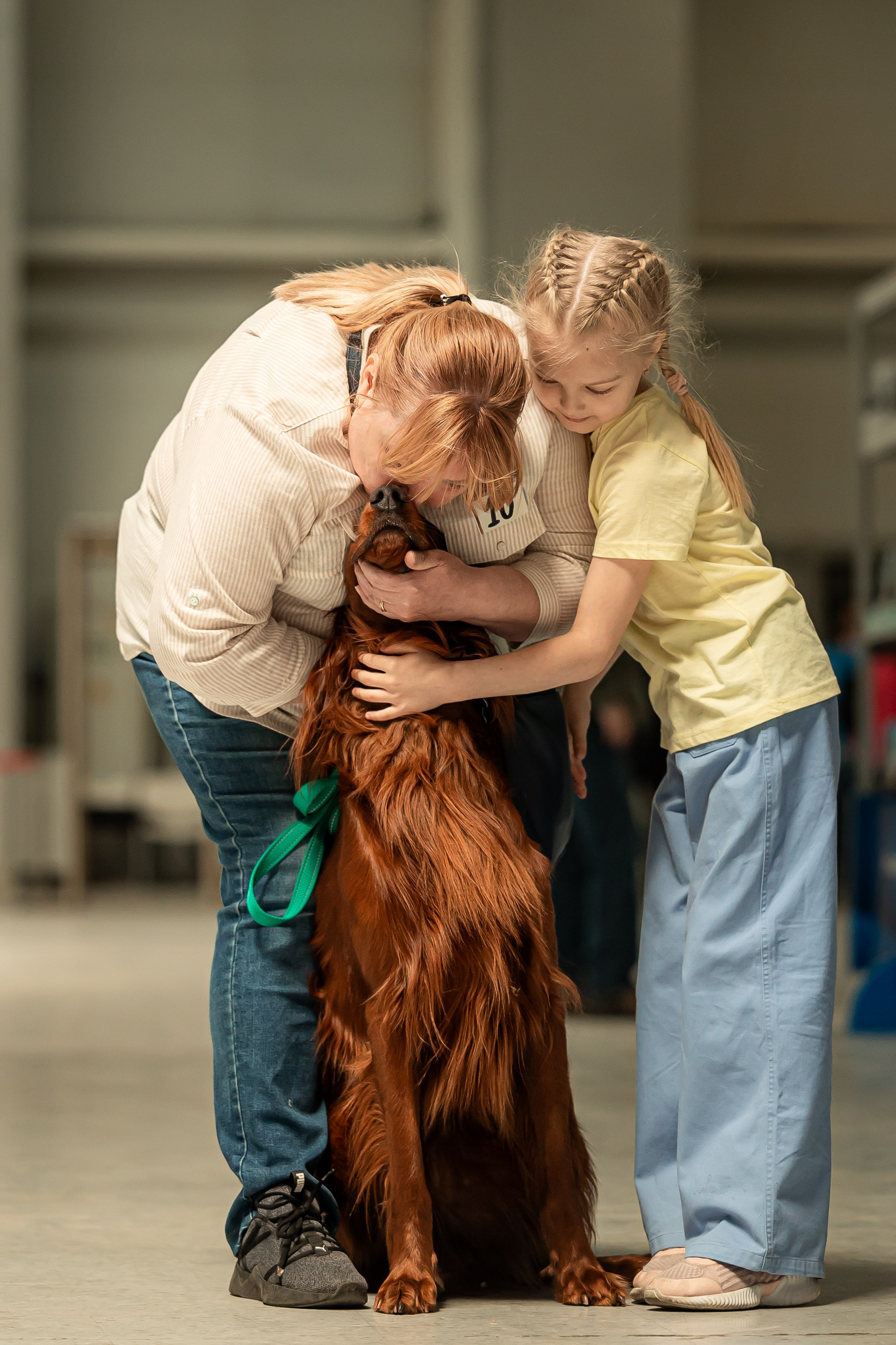 Выставка сеттеров 19.05.24