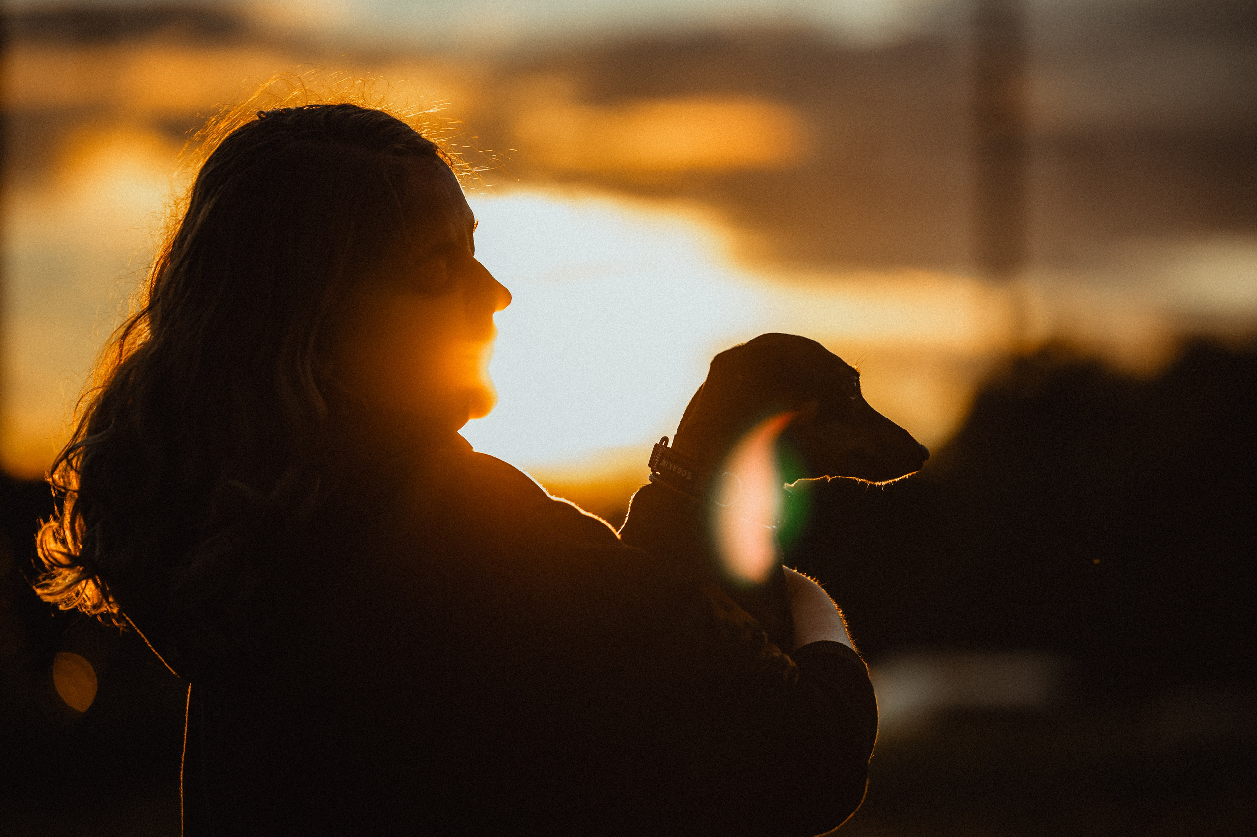 Выездной дог-тренинг от школы «Шерсть имею»