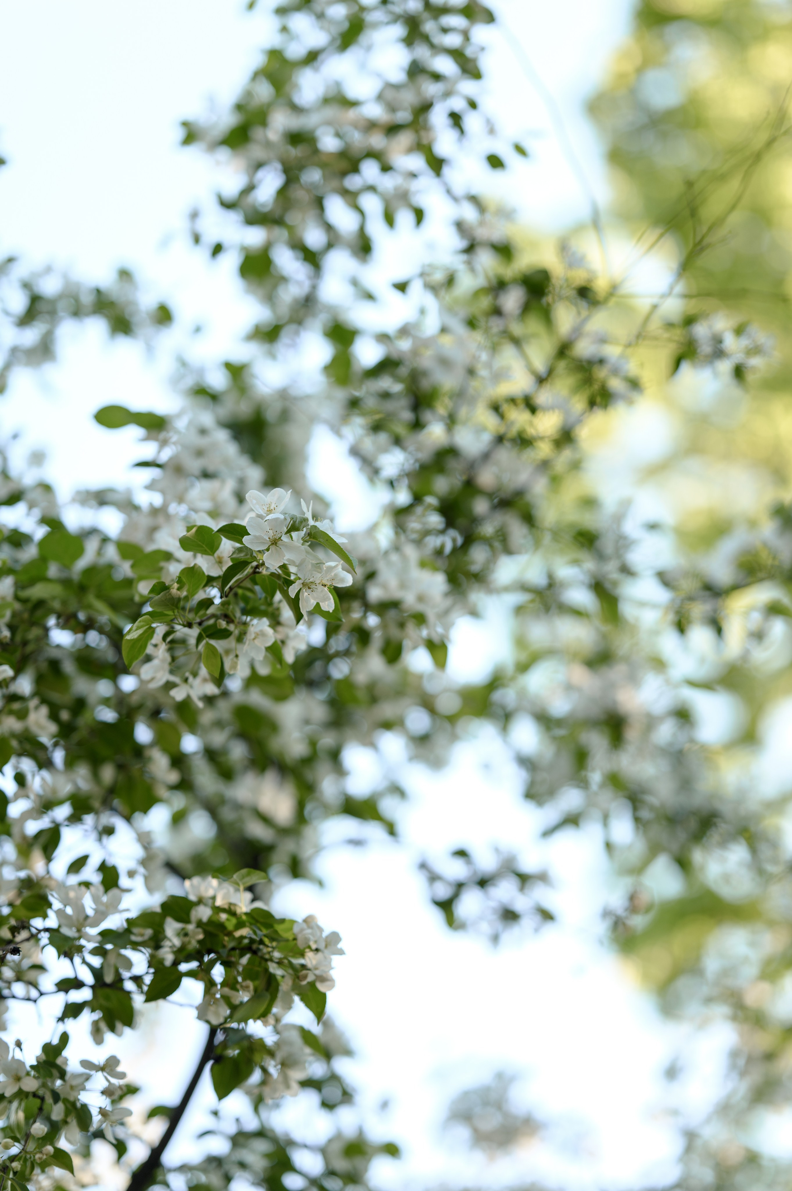 Теплый воздух. Свадебный и портретный фотограф в Санкт-Петербурге Ирина Келина