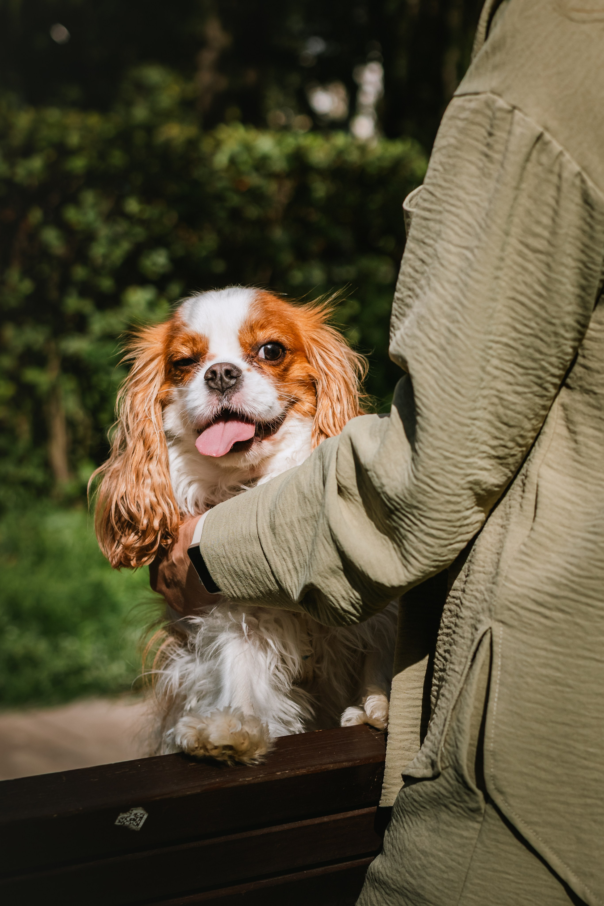 Фотопрогулка на бульваре. Фотограф-анималист Татьяна Степанова