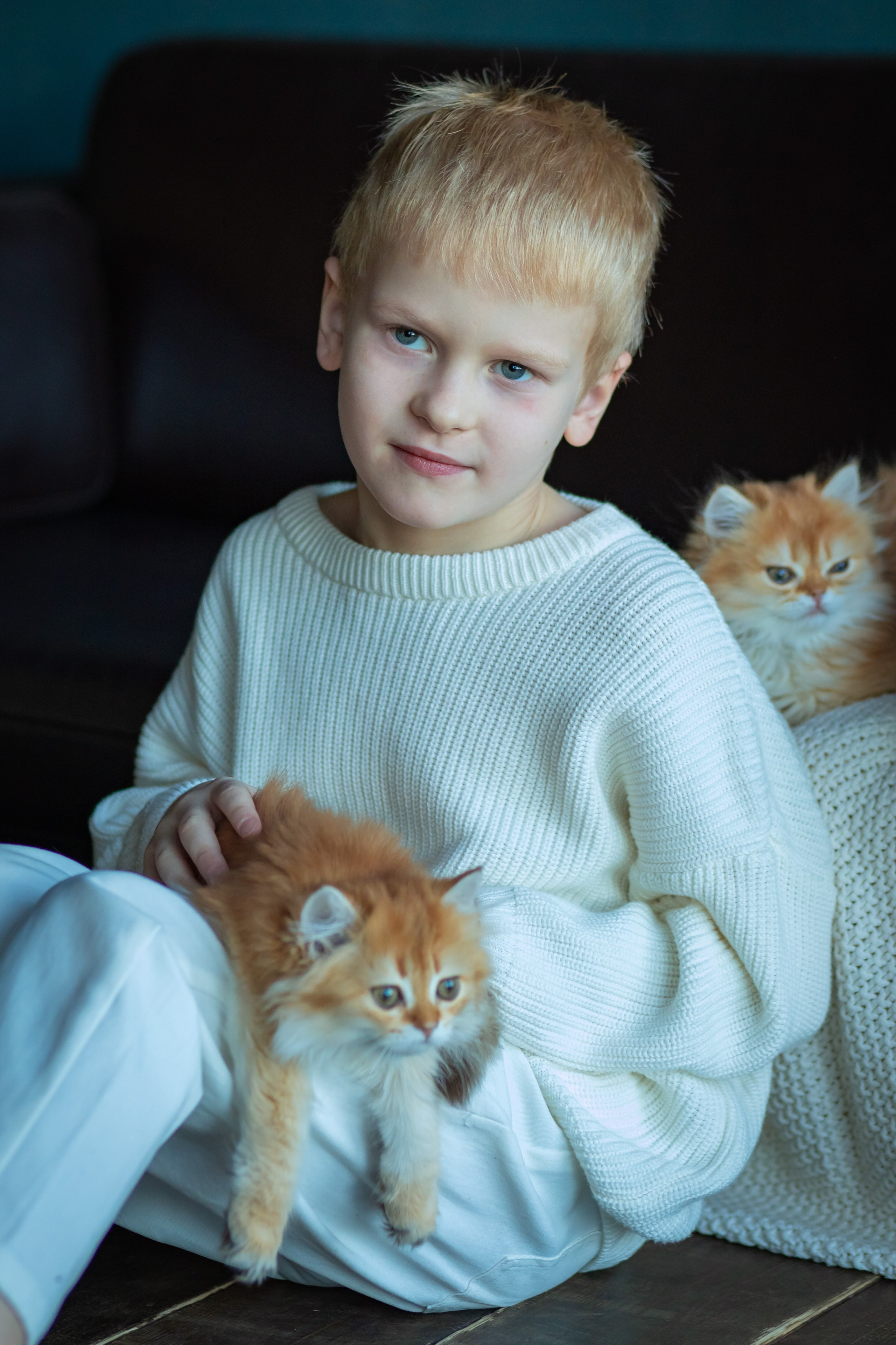 Детская фотосессия с котятками в студии в СПБ