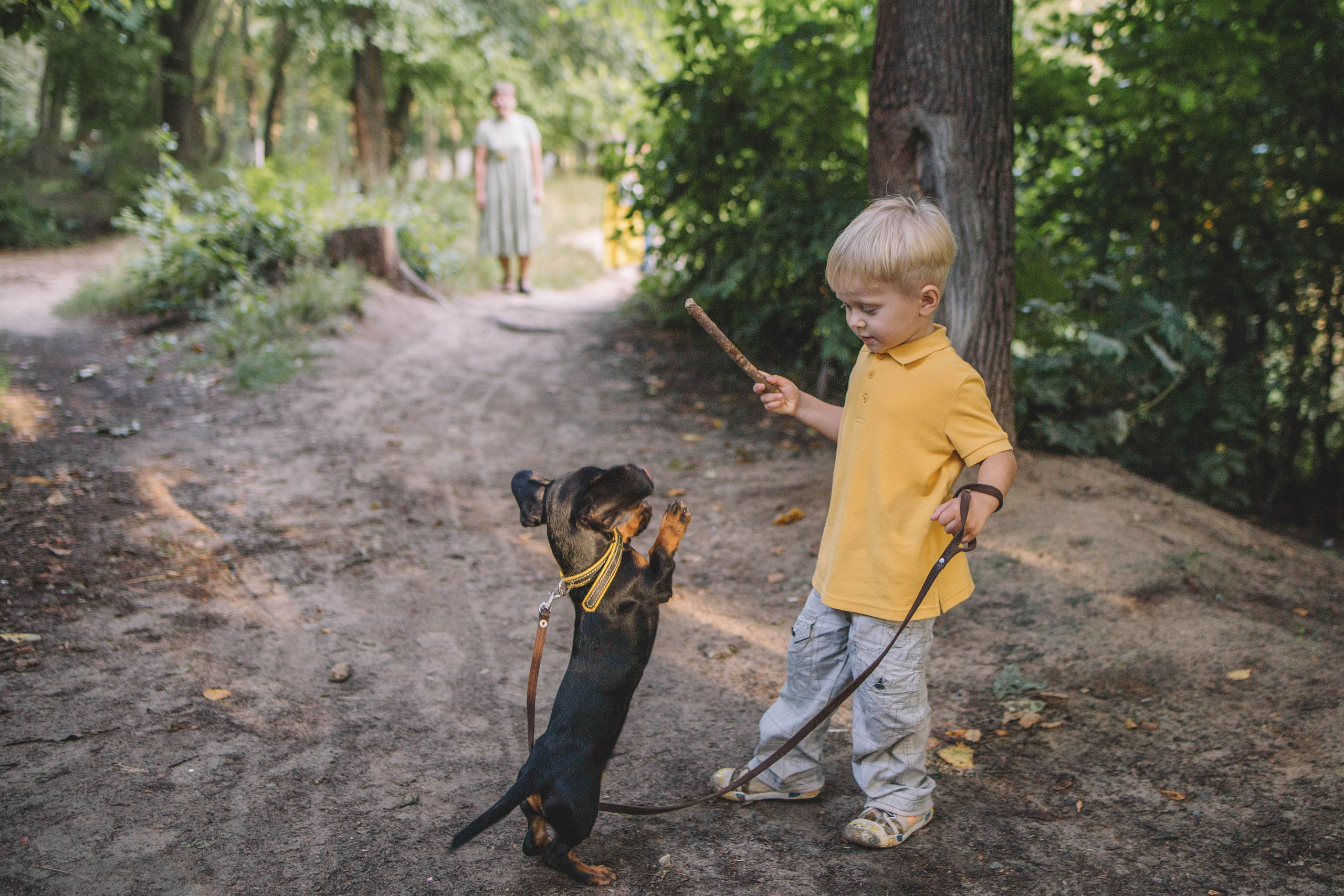 Пёс Перчик и его люди