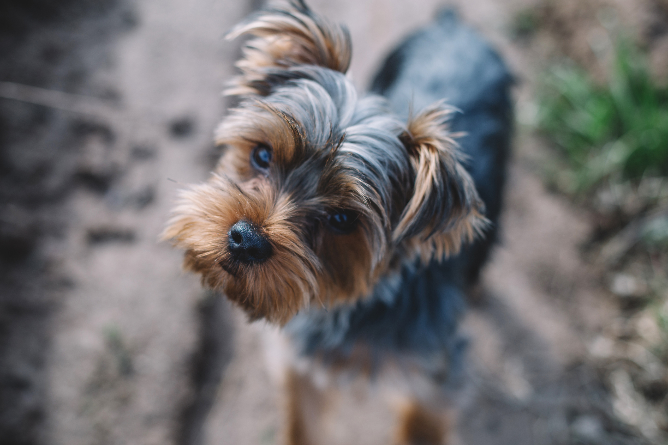 Женя, дети и Крош