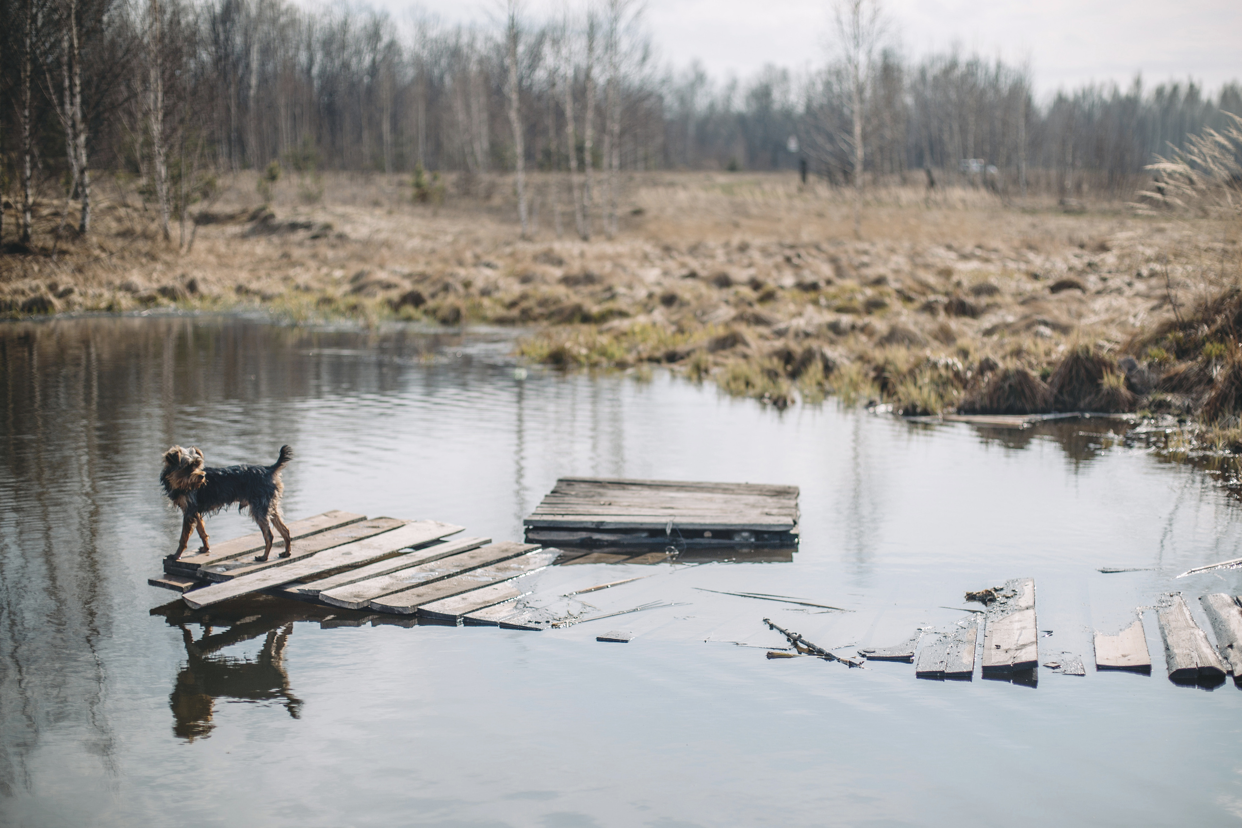 Женя, дети и Крош