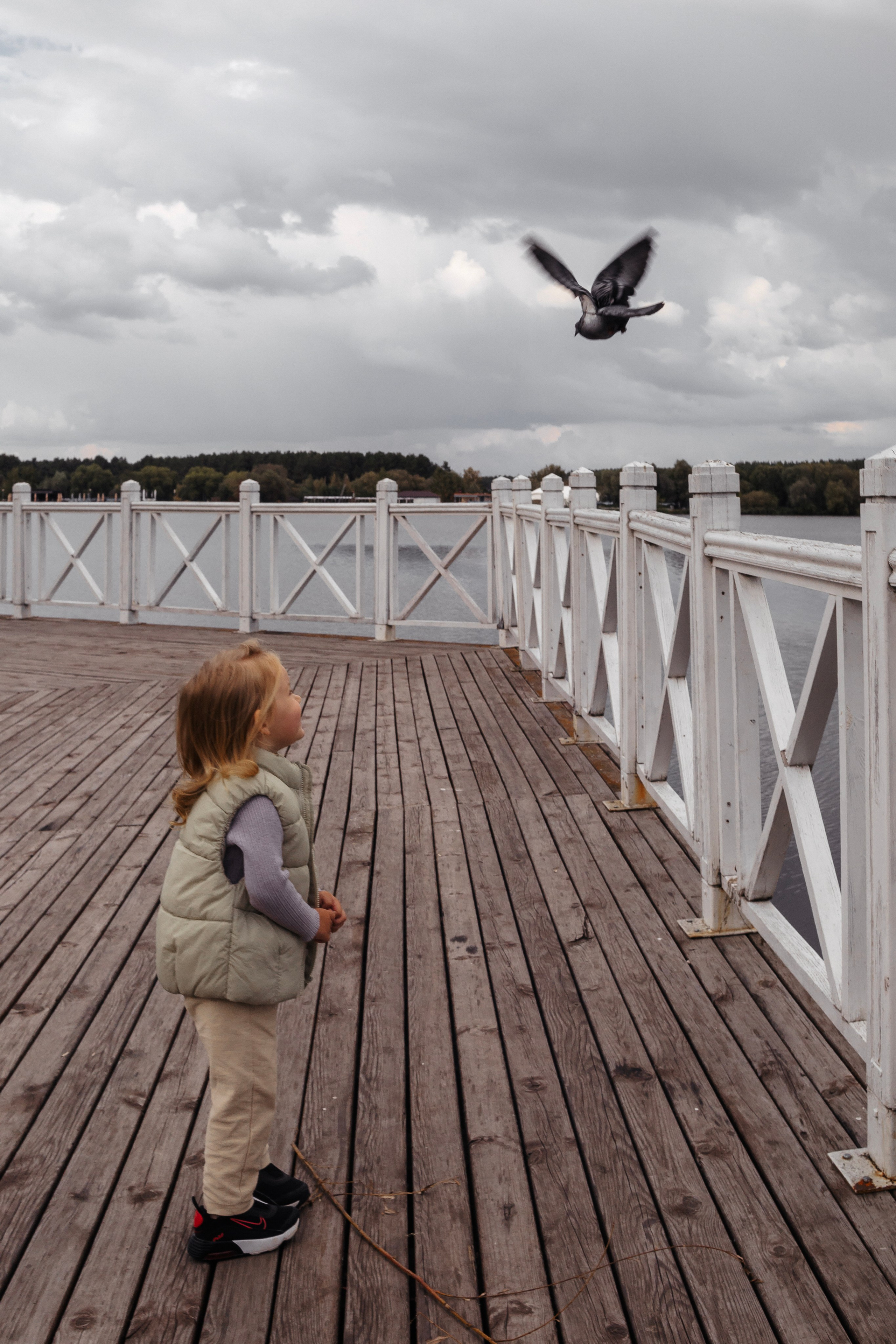 Константин Жуйков | Stifty