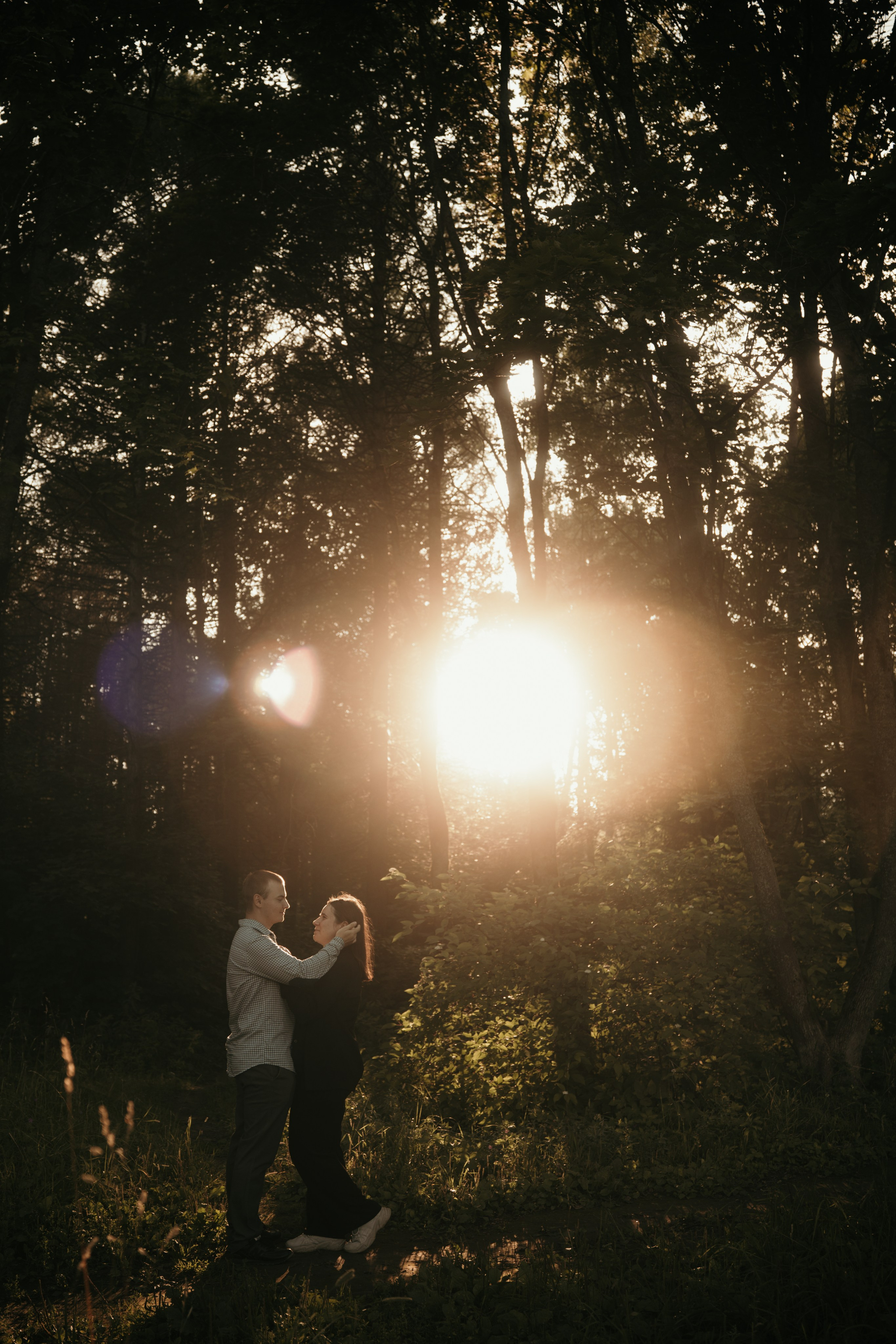 Солнечный вечер в лесу. Фотограф и видеограф Мария Банщикова, Солнечногорск, Москва